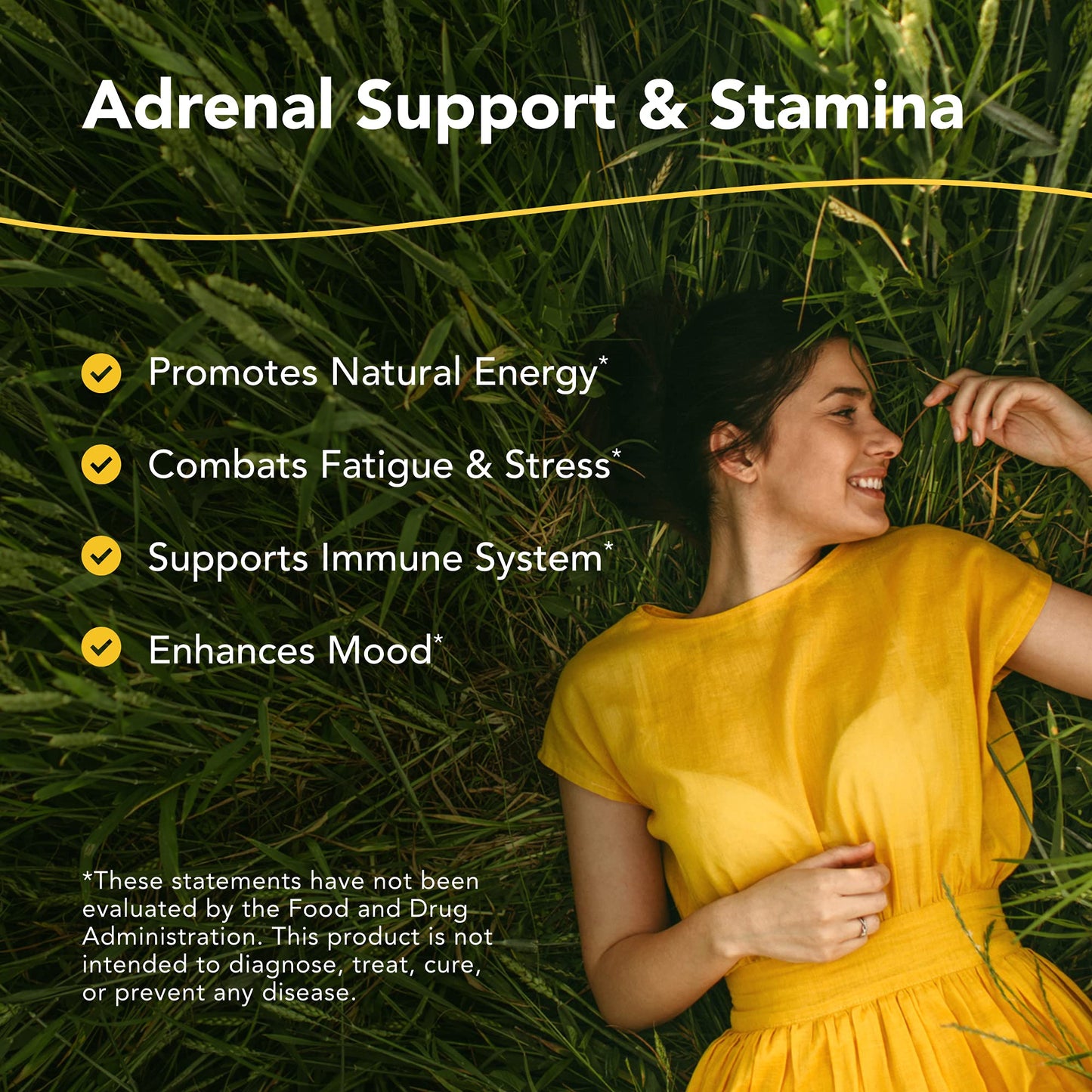 North American Herb & Spice Ashadrene Ashwagandha Capsules, 2 Capsules
