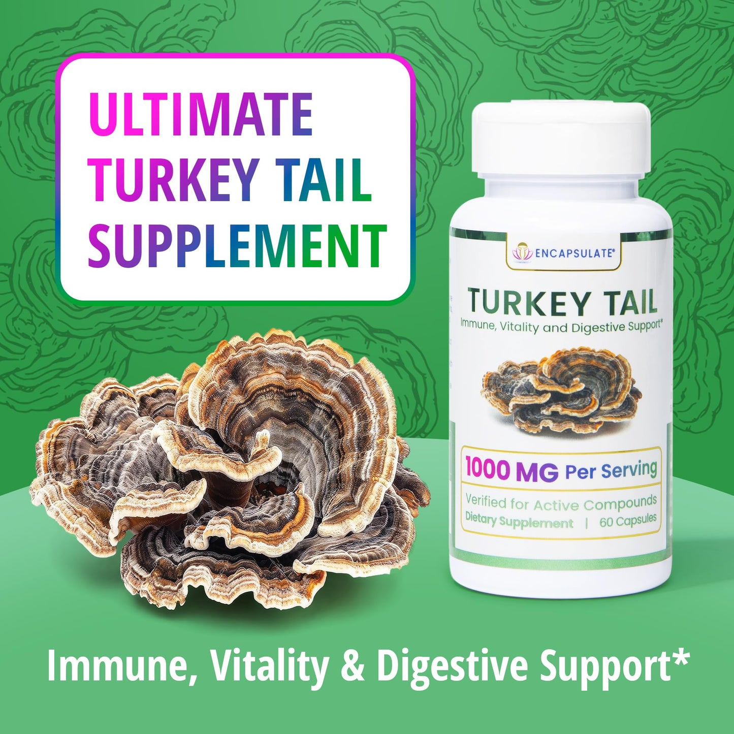 ENCAPSULATE Turkey Tail Capsules 1000mg – Premium Organic Fruiting Body 1:1 Extract – Adaptogen Mushroom Supplement for Digestive, Gut & Immune Support – Lab Tested & Max Bioavailability – 60 Capsules
