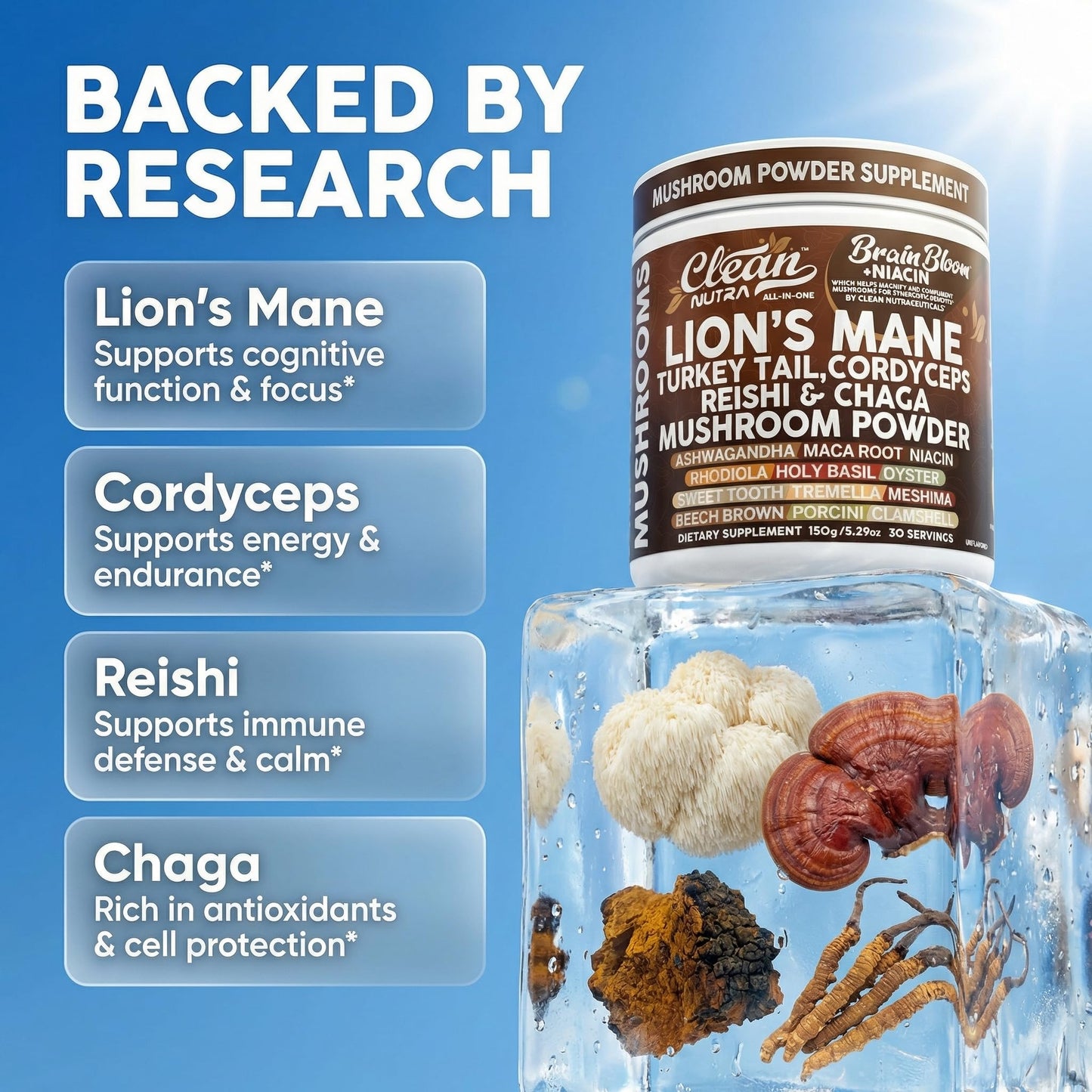 Clean Nutraceuticals Lion's Mane Turkey Tail Cordyceps Reishi Chaga Mushroom Powder 5.29 Ounce