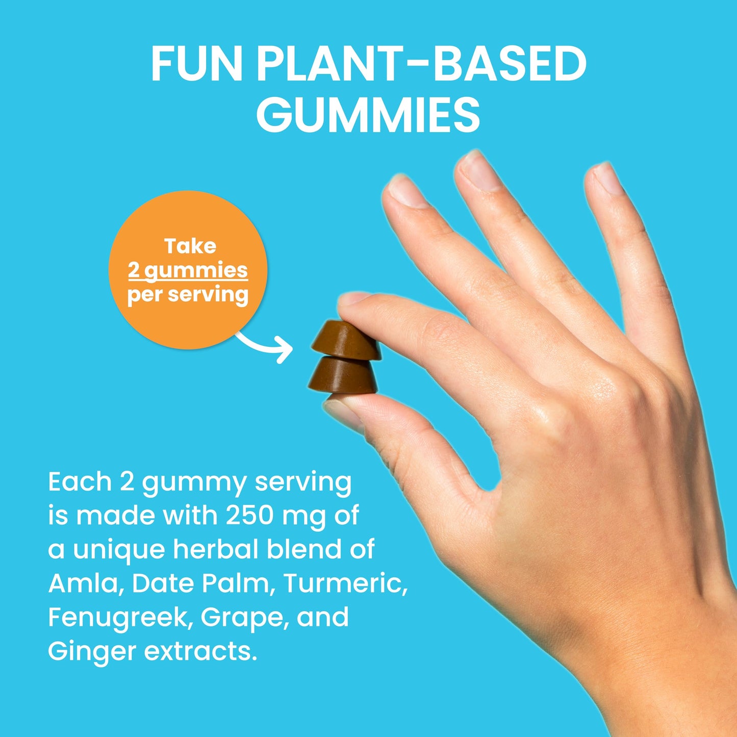 Himalaya PartySmart Gummies 14 Count