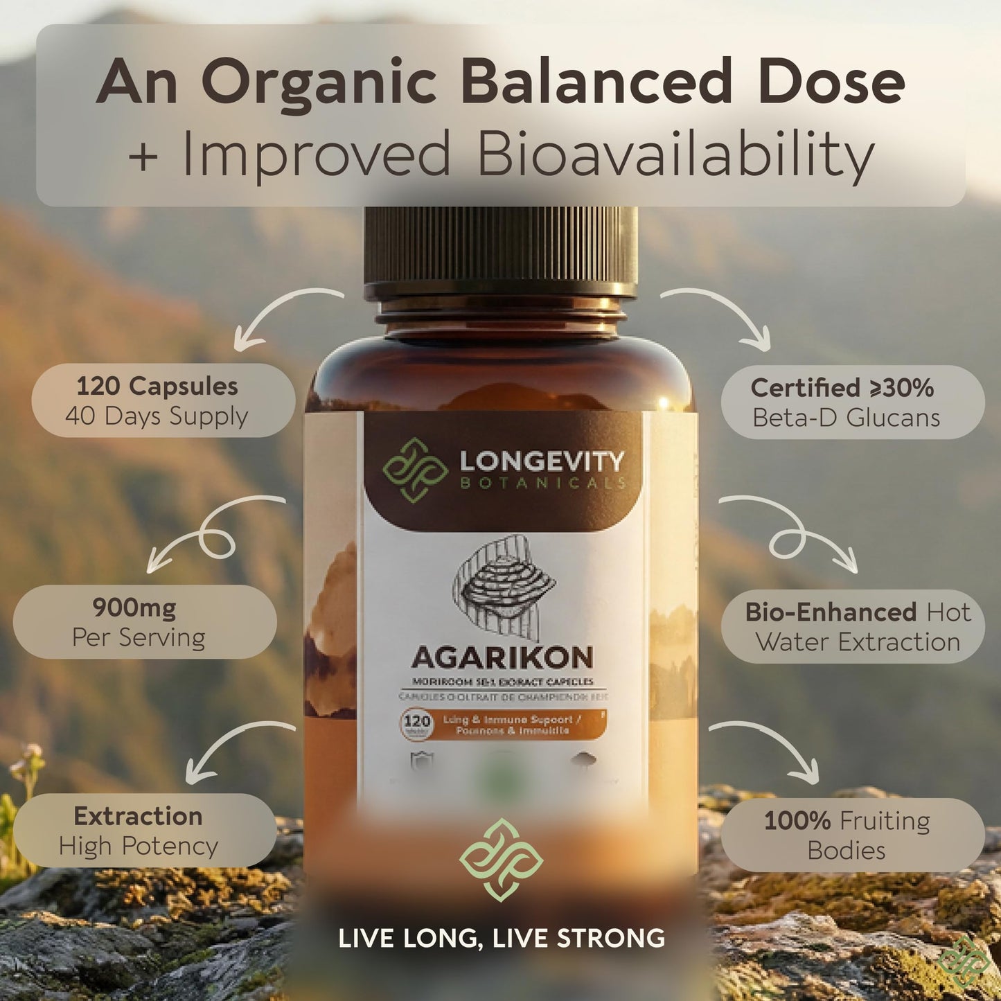 Longevity Botanicals Agarikon Mushroom Capsules 120 Count