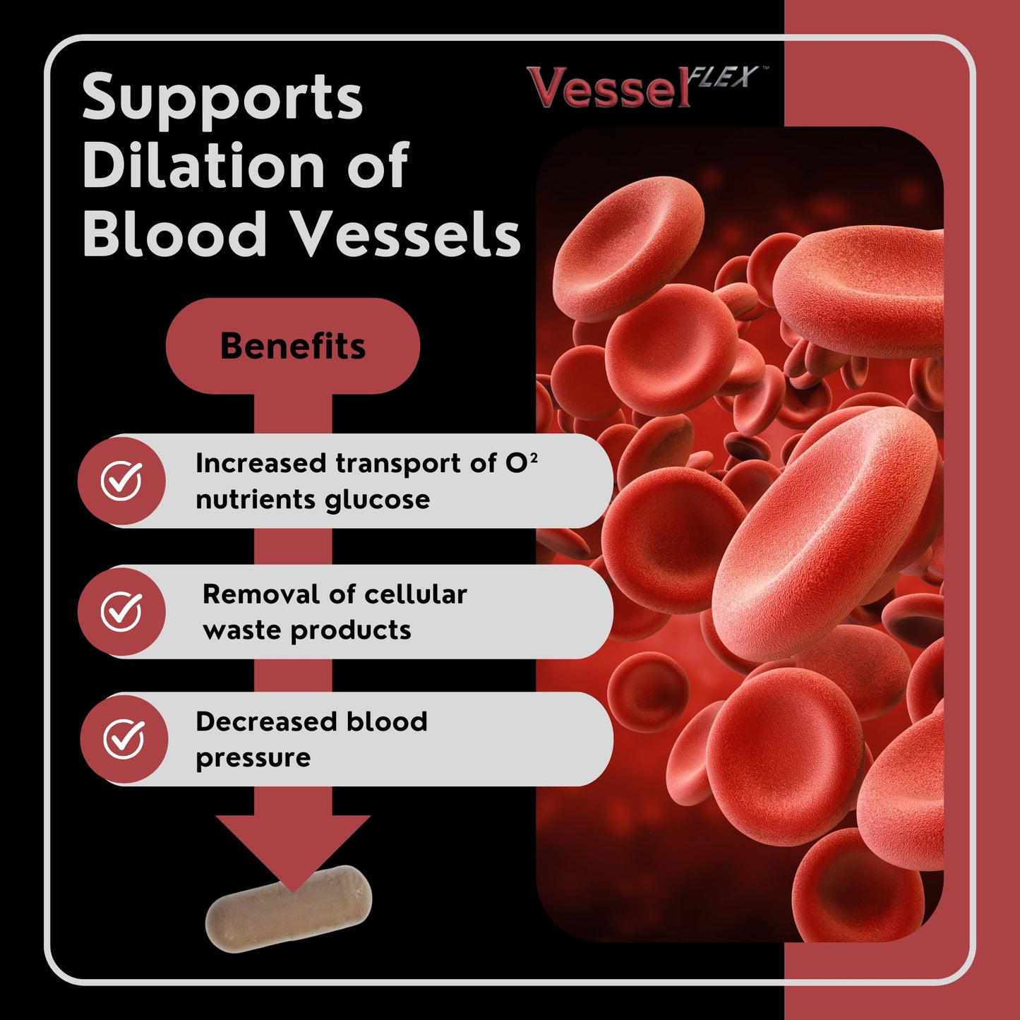 VesselFLEX Super Nitric Oxide Booster for Men Capsule 90 Count