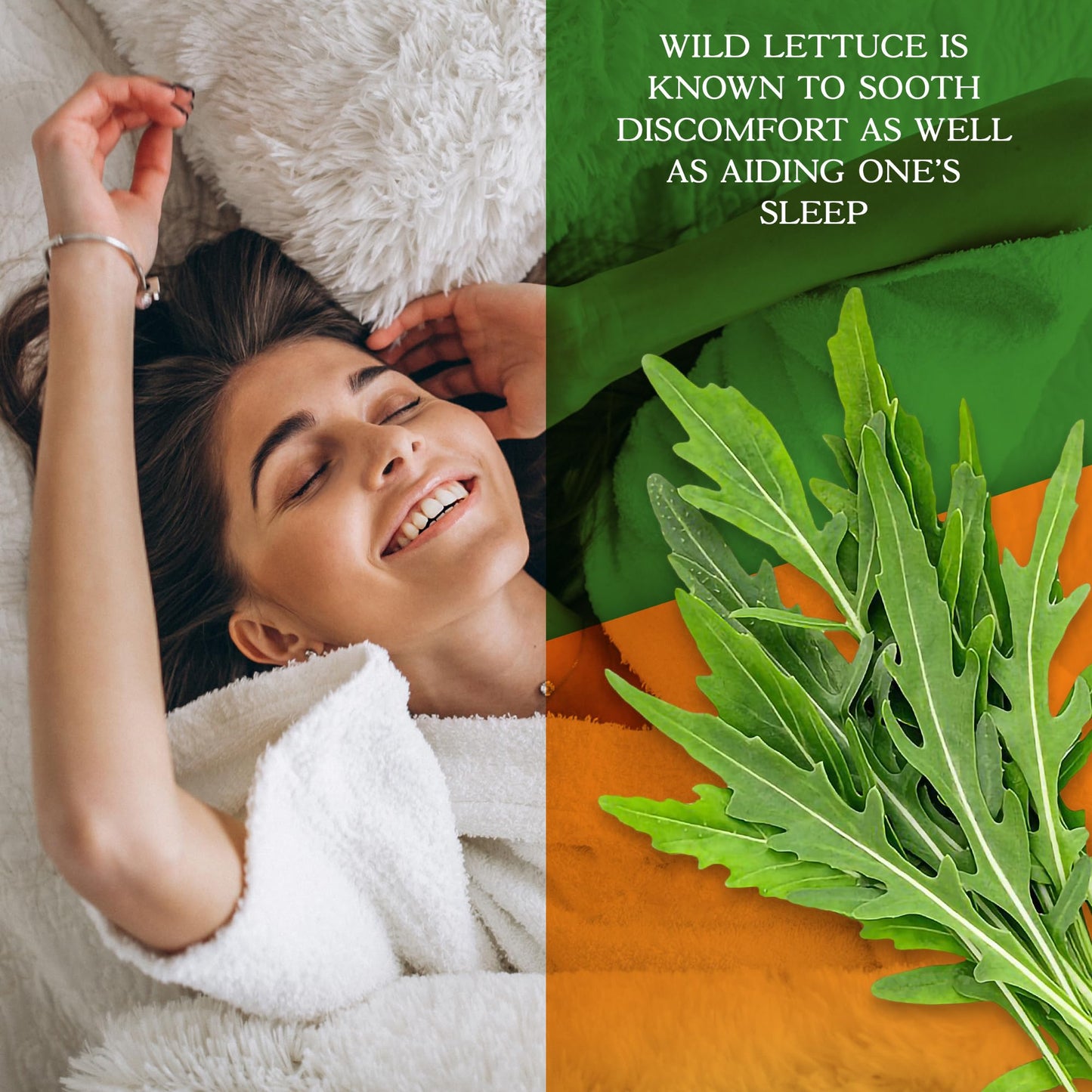 Parker Naturals Wild Lettuce Extract & California Poppy Seed Caplets, 120