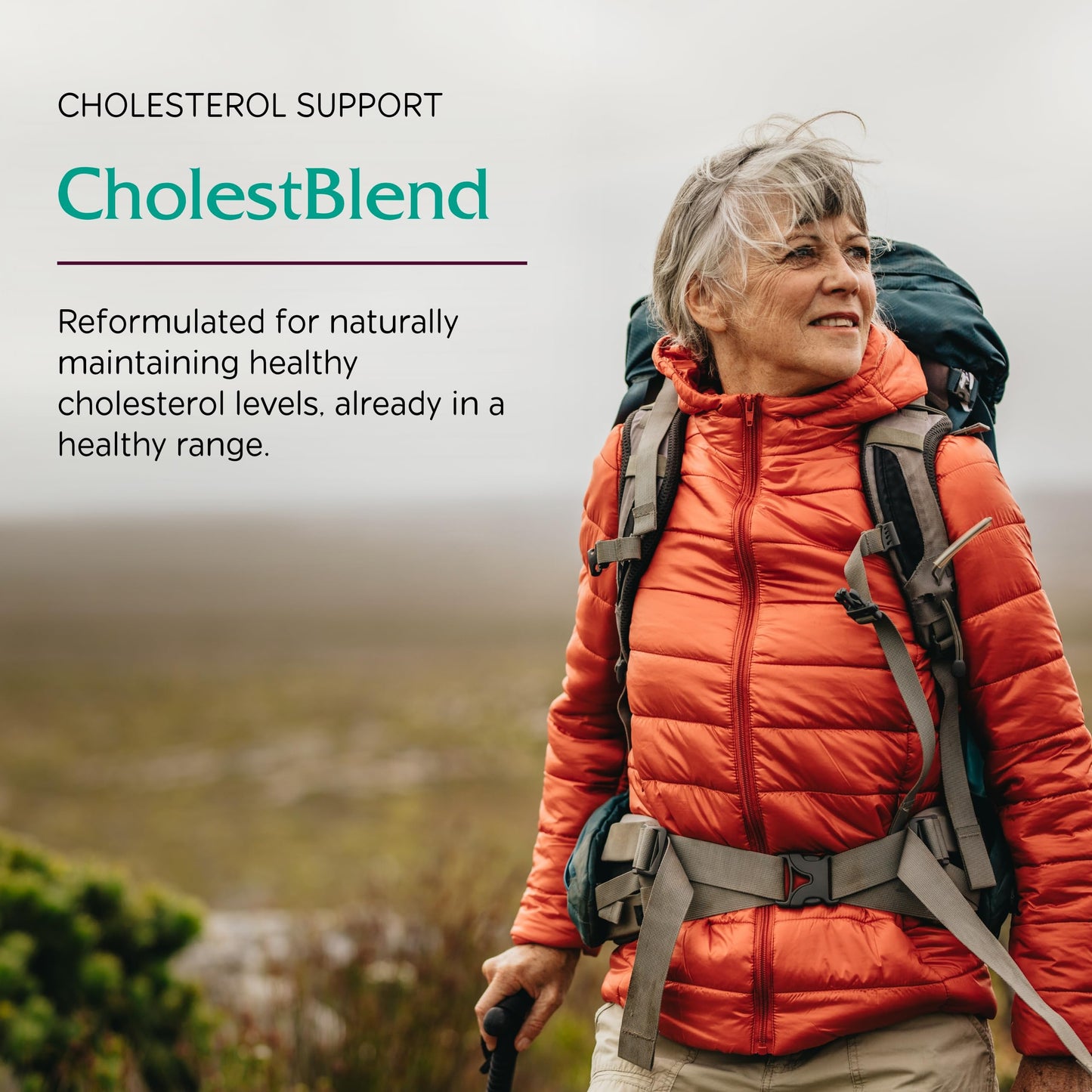 Vitanica Cholestblend Cholesterol Support Capsules, 90 Count