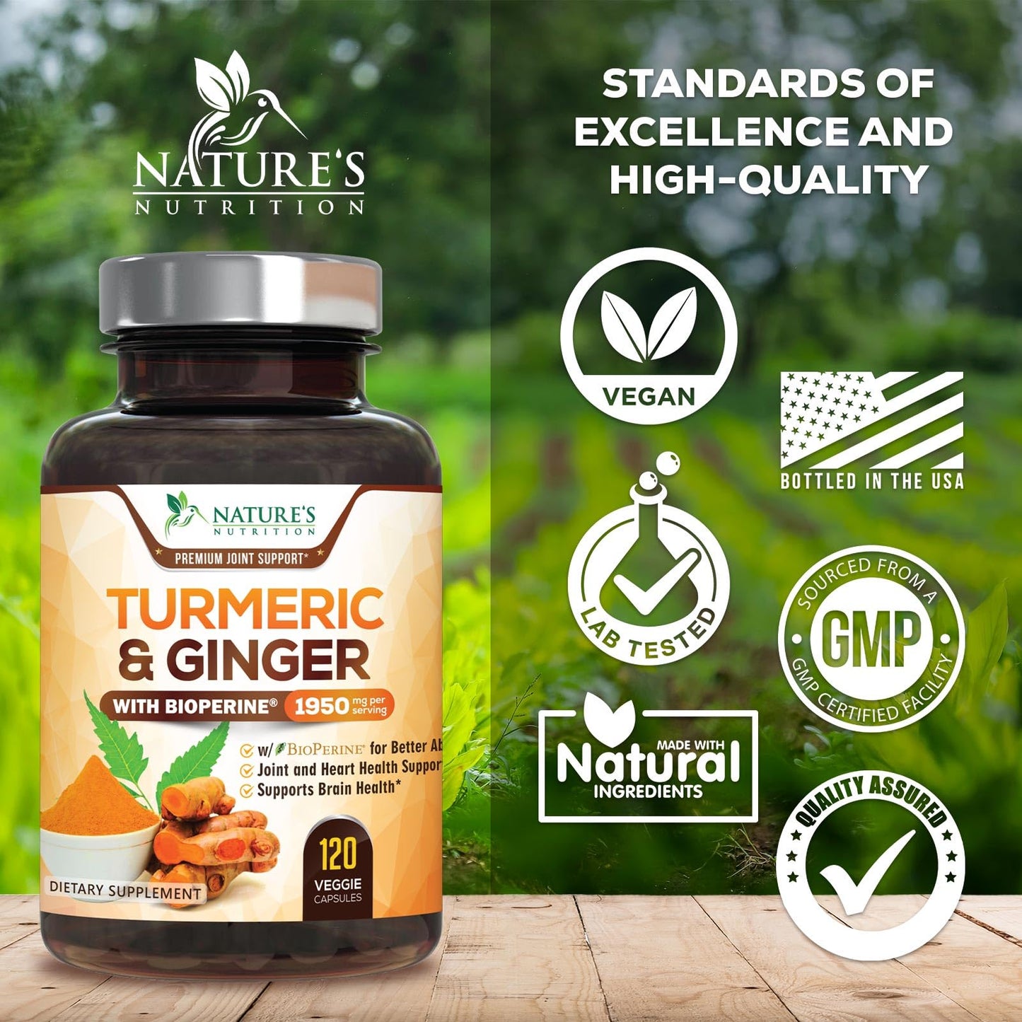 Nature's Nutrition Turmeric Curcumin Supplement Capsule 120