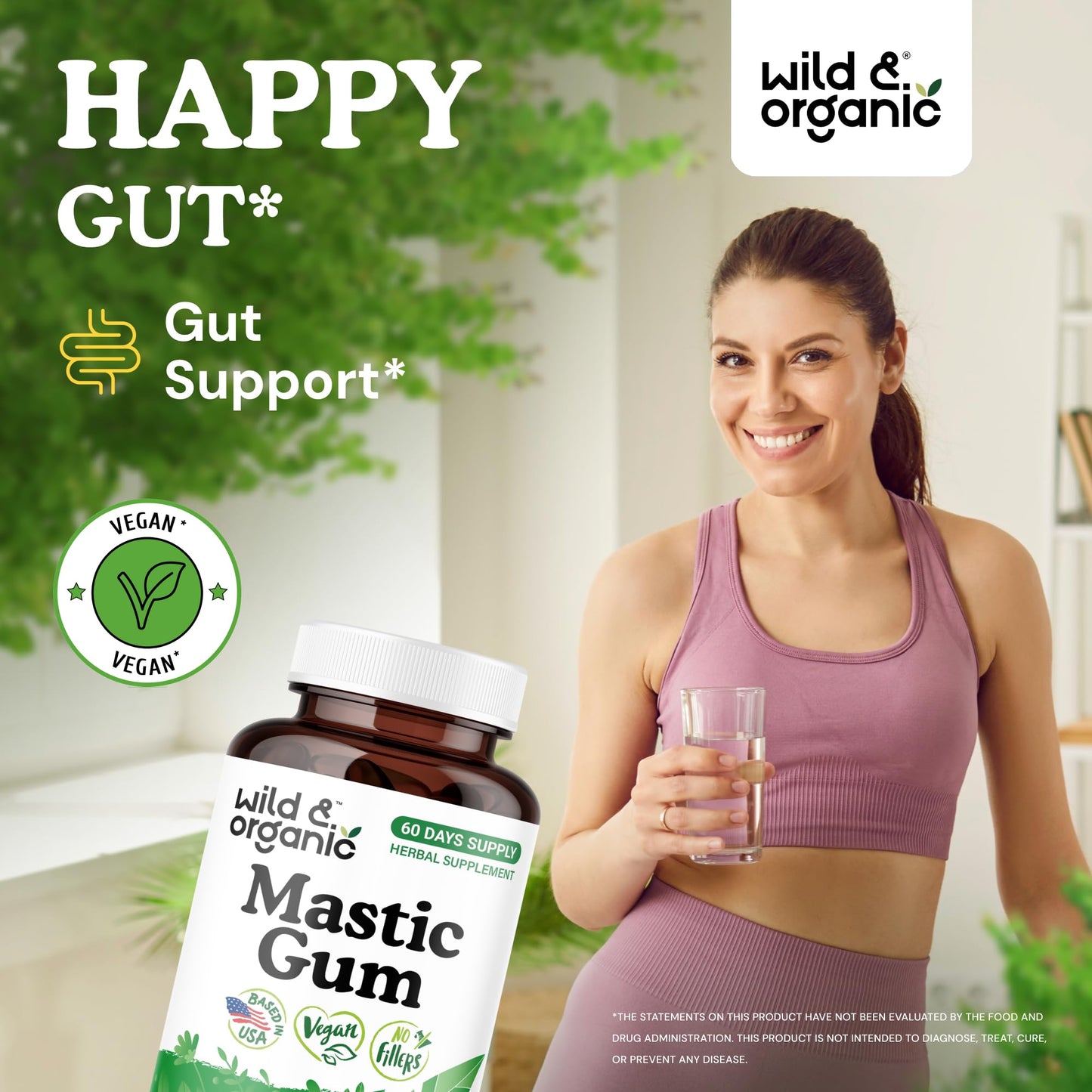 Wild & Organic Mastic Gum Capsules 1000 mg, 120 Capsules
