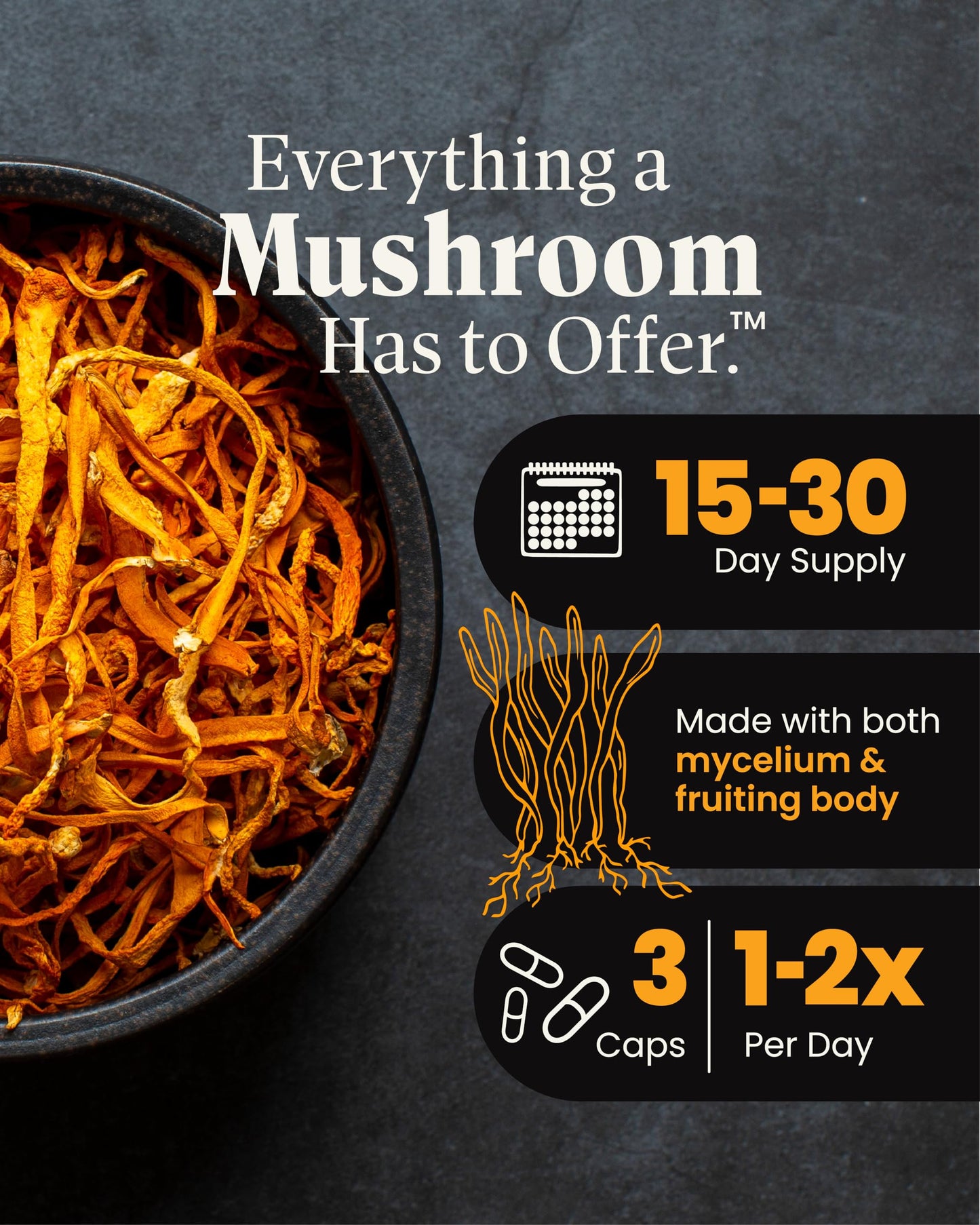 Herb Pharm Mushroom Wellness Cordyceps Blend with Reishi 90 Capsules
