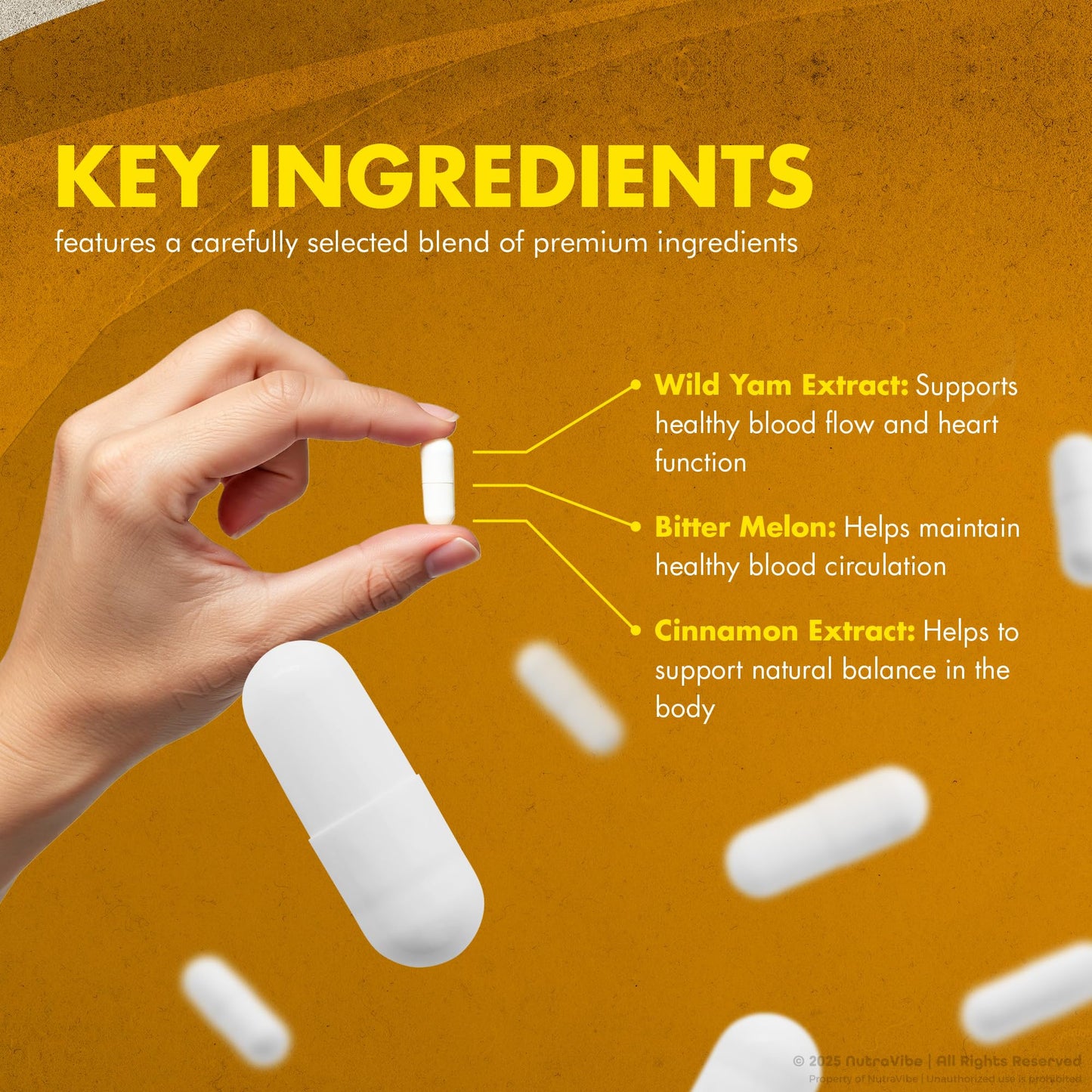 NutraVibe Glycetra, Capsules, 120 Capsules