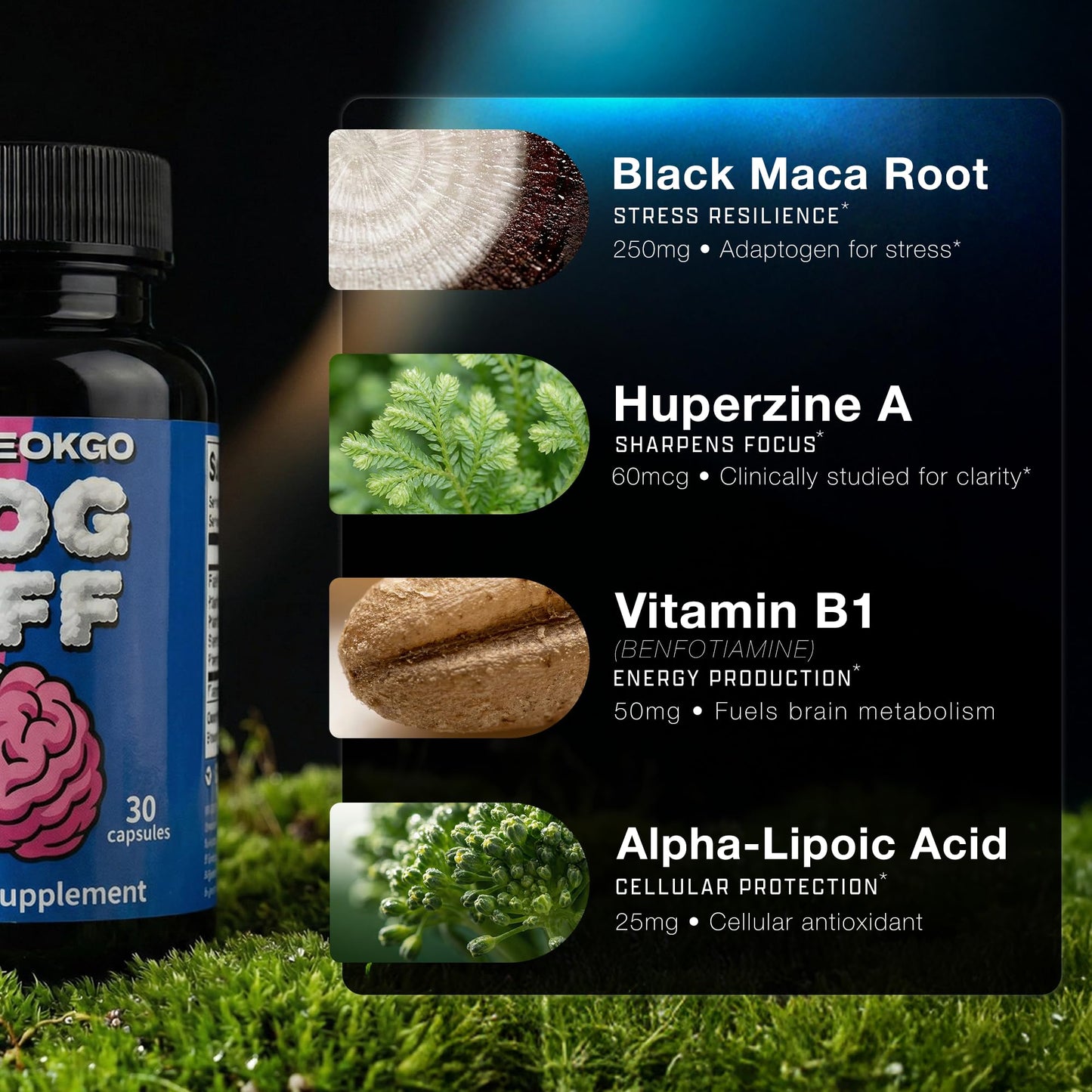 FOG OFF Brain Fog Supplement Capsule 30 Count