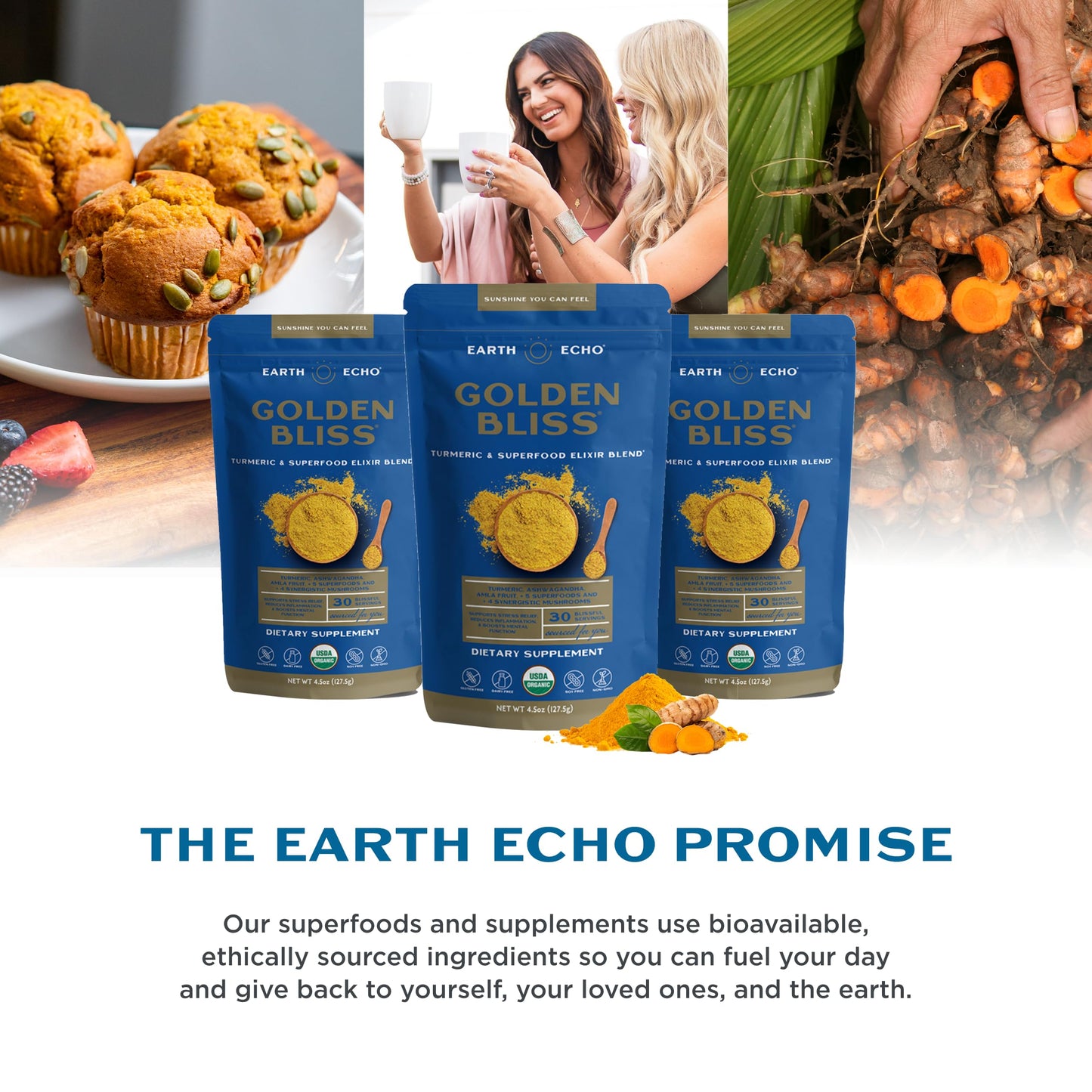 Earth Echo Golden Bliss Organic Golden Milk with Turmeric and Ginger Powder, 30 Servings
