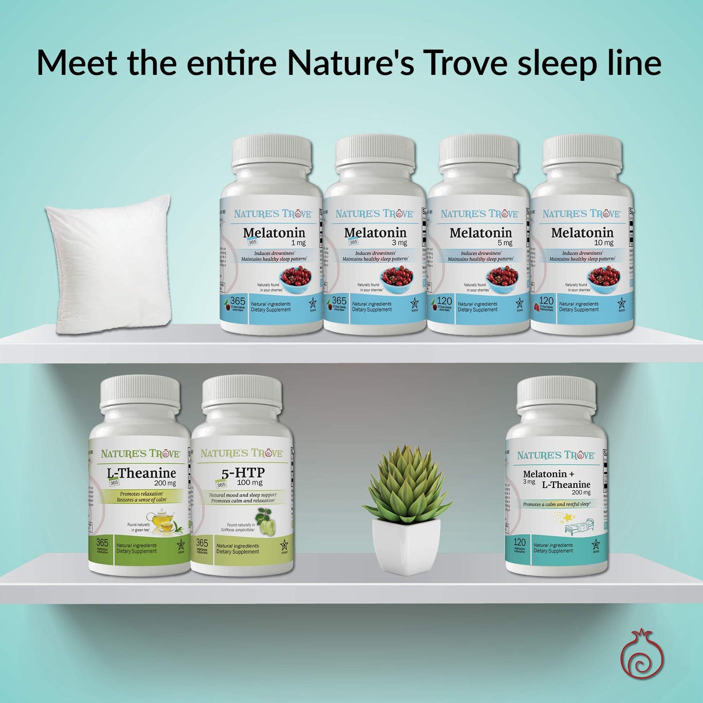 Nature's Trove Melatonin 1mg Tablets 730