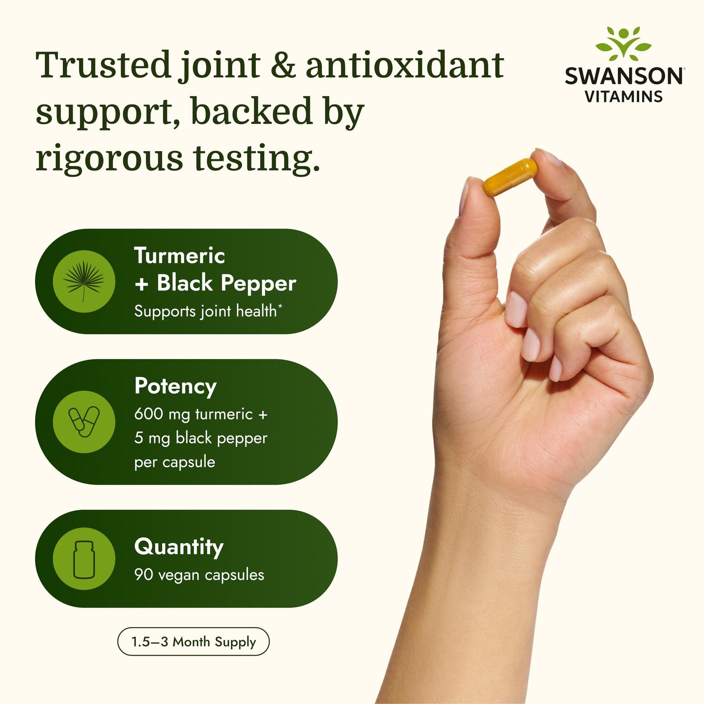 Swanson Turmeric & Black Pepper Antioxidant Supplement Capsule 90 Count