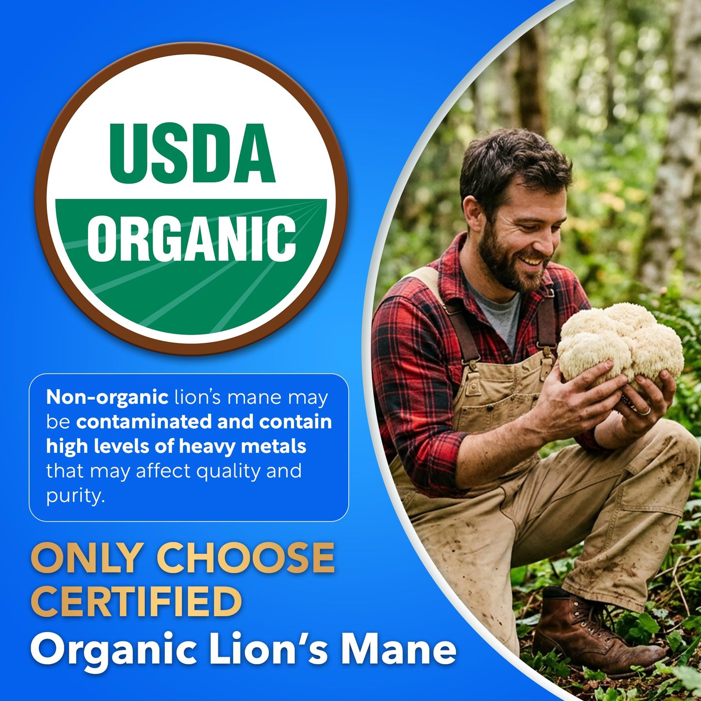 Dalnara Lion's Mane Capsule 120 Count