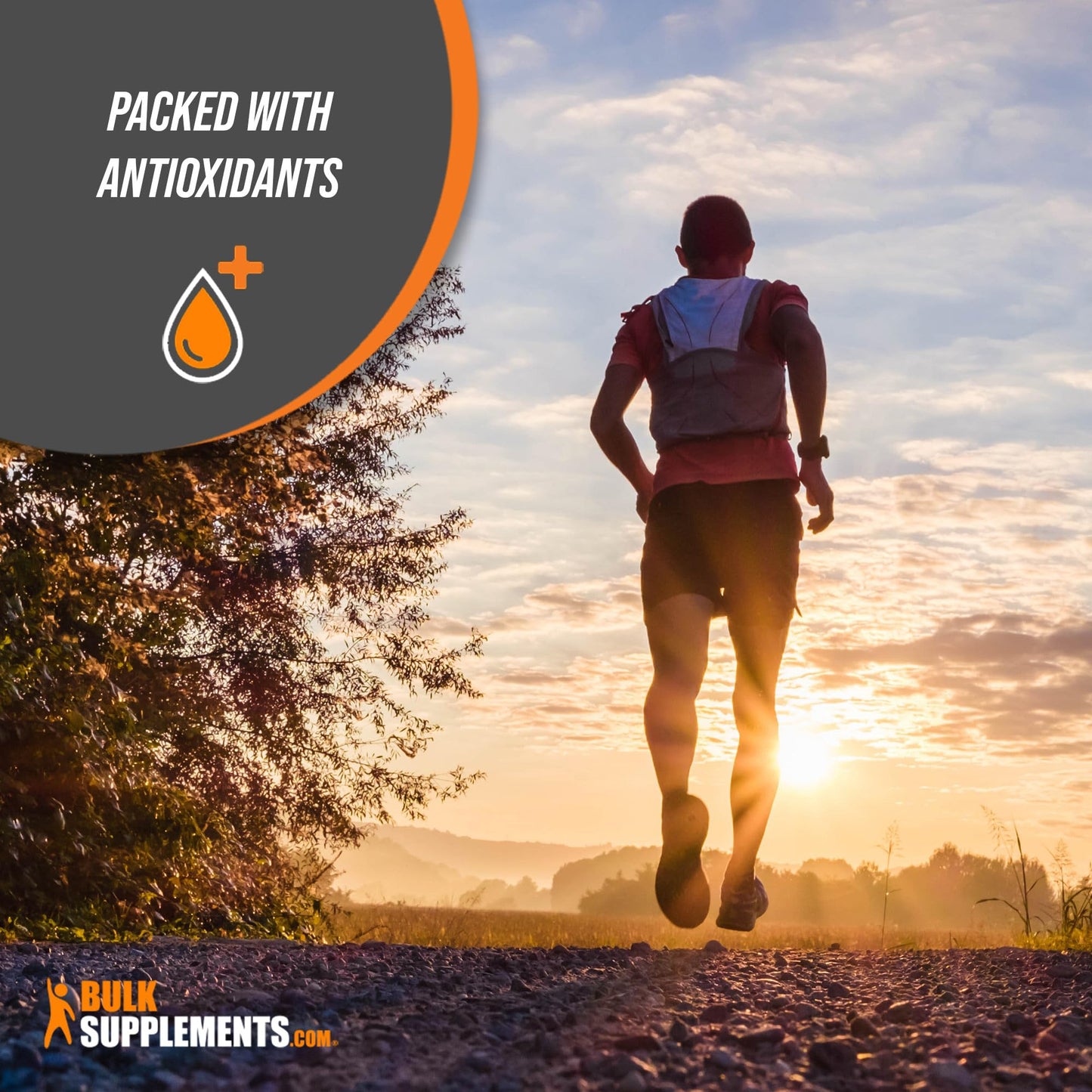 BulkSupplements Aloe Vera Capsules, 240 Capsules