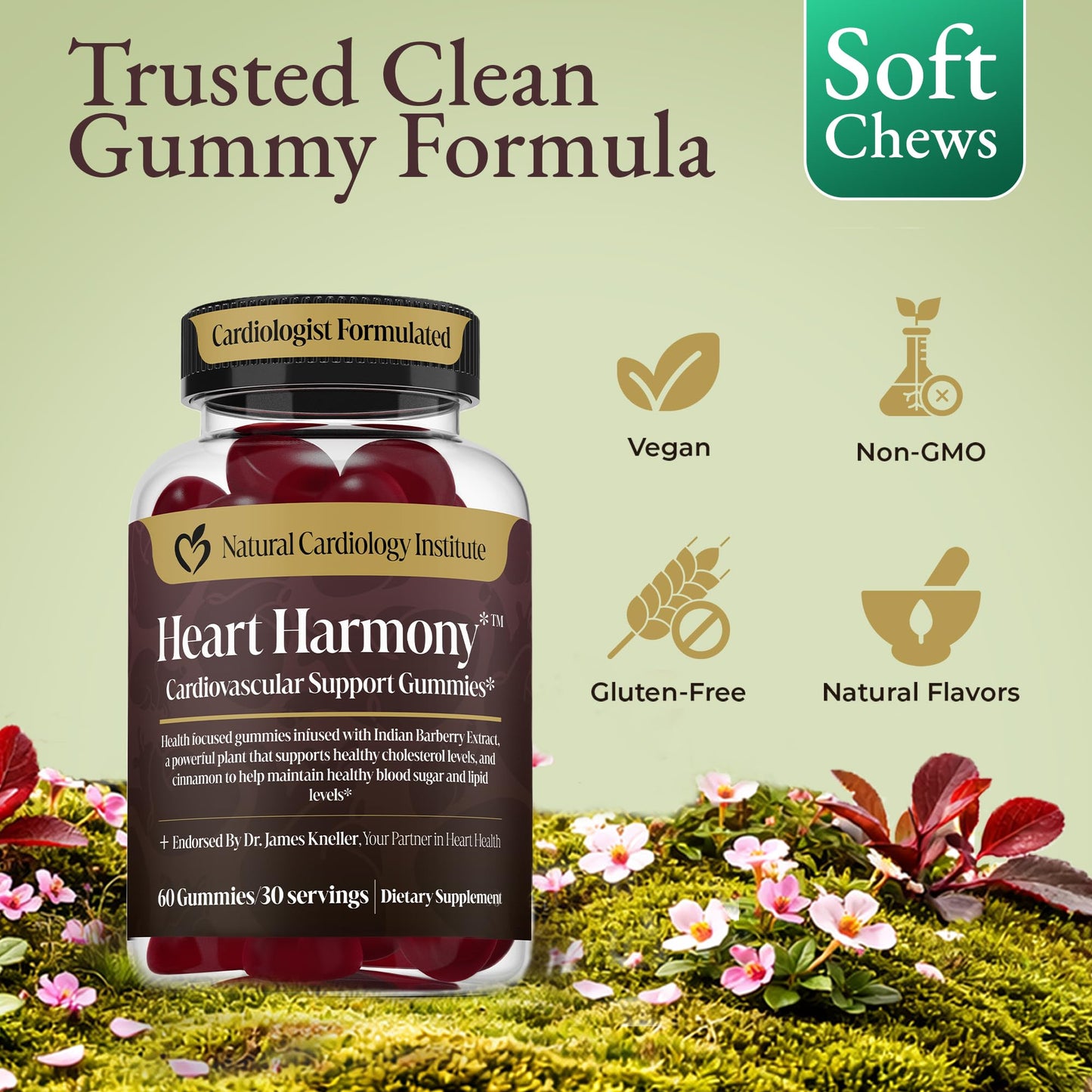 Natural Cardiology Institute Heart Harmony Berberine Supplement with Ceylon Cinnamon Gummies, 60 Count