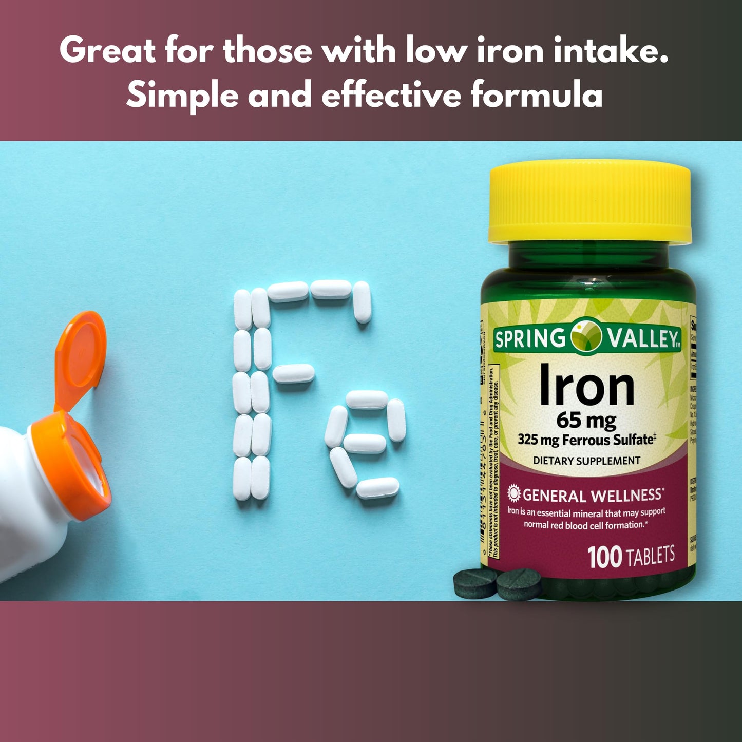FUSION SHOP STORE Iron 65mg Ferrous Sulfate Tablets, 100
