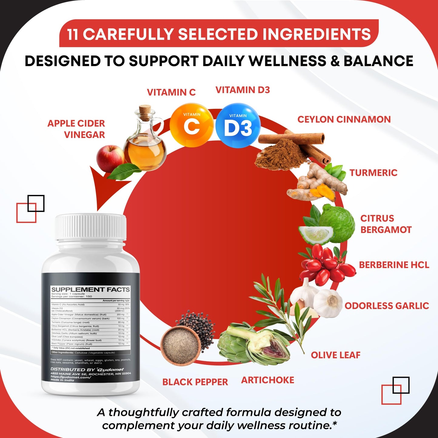 GUDOMET Apple Cider Vinegar Cinnamon Turmeric Odorless Garlic Olive Leaf Artichoke Black Pepper Capsules, 150 Count