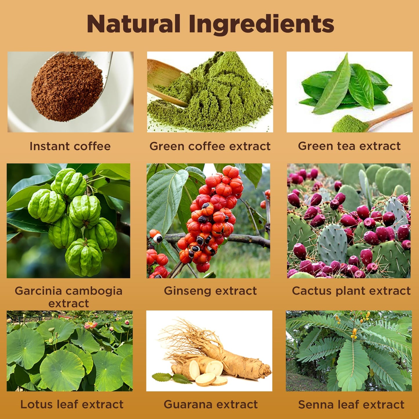 Feelherbs Green Coffee Beans Extract Powder 3.5 oz
