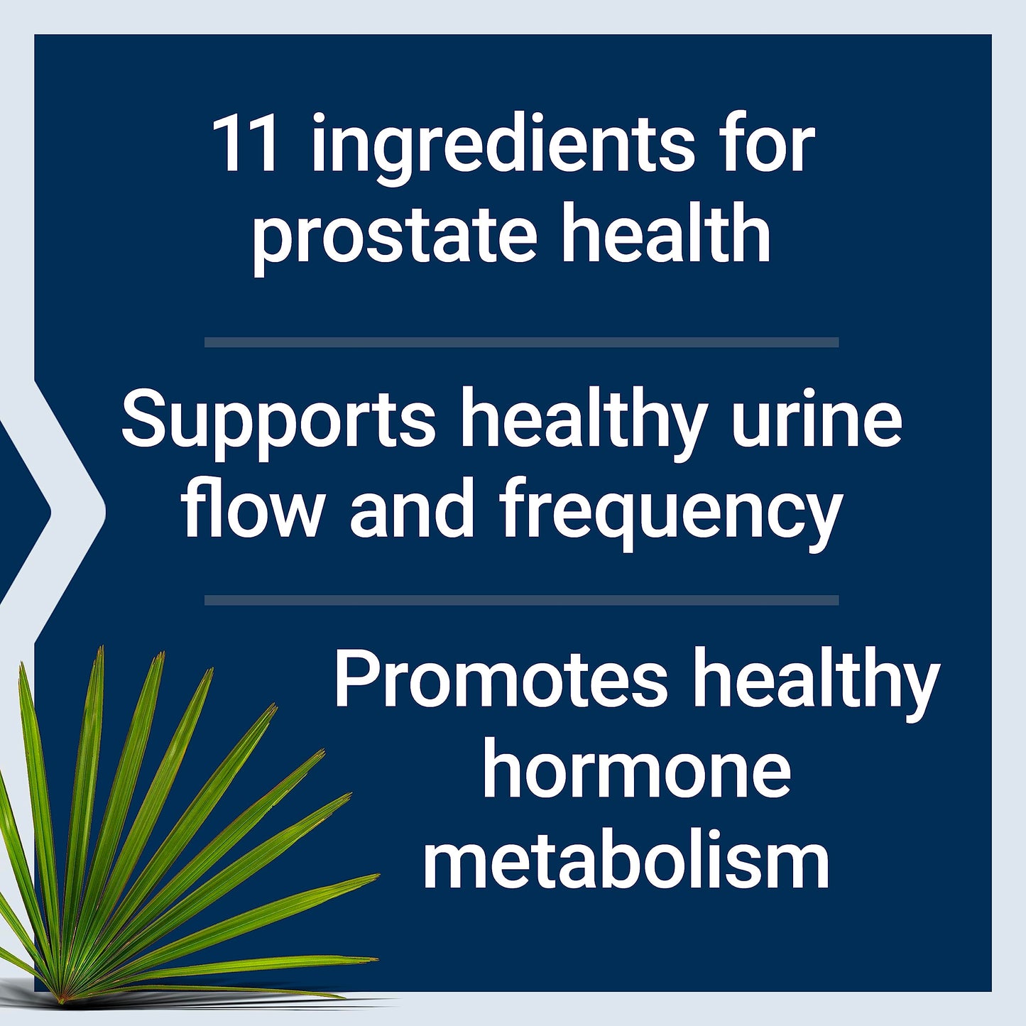 Life Extension Curcumin Turmeric & Ultra Prostate Formula with Saw Palmetto, Capsules & Softgels Bundle, 120 Count