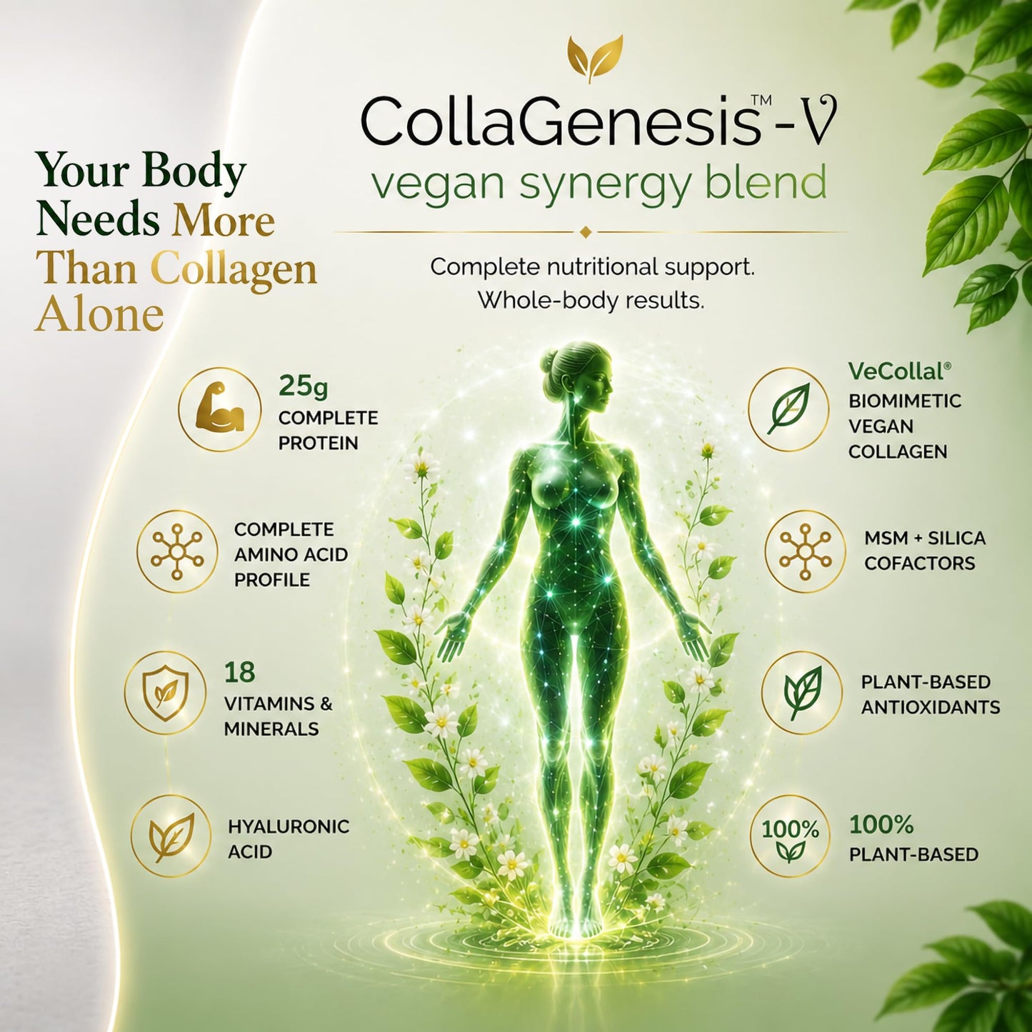 CollaGenesis V Vegan Collagen Support Whole-Body System Biomimetic Vegan Collagen, 25g Protein, MSM & Hyaluronic Acid, Complete Amino Acid Profile, 18 Vitamins & Minerals – Unflavored Powder, 39.5 oz