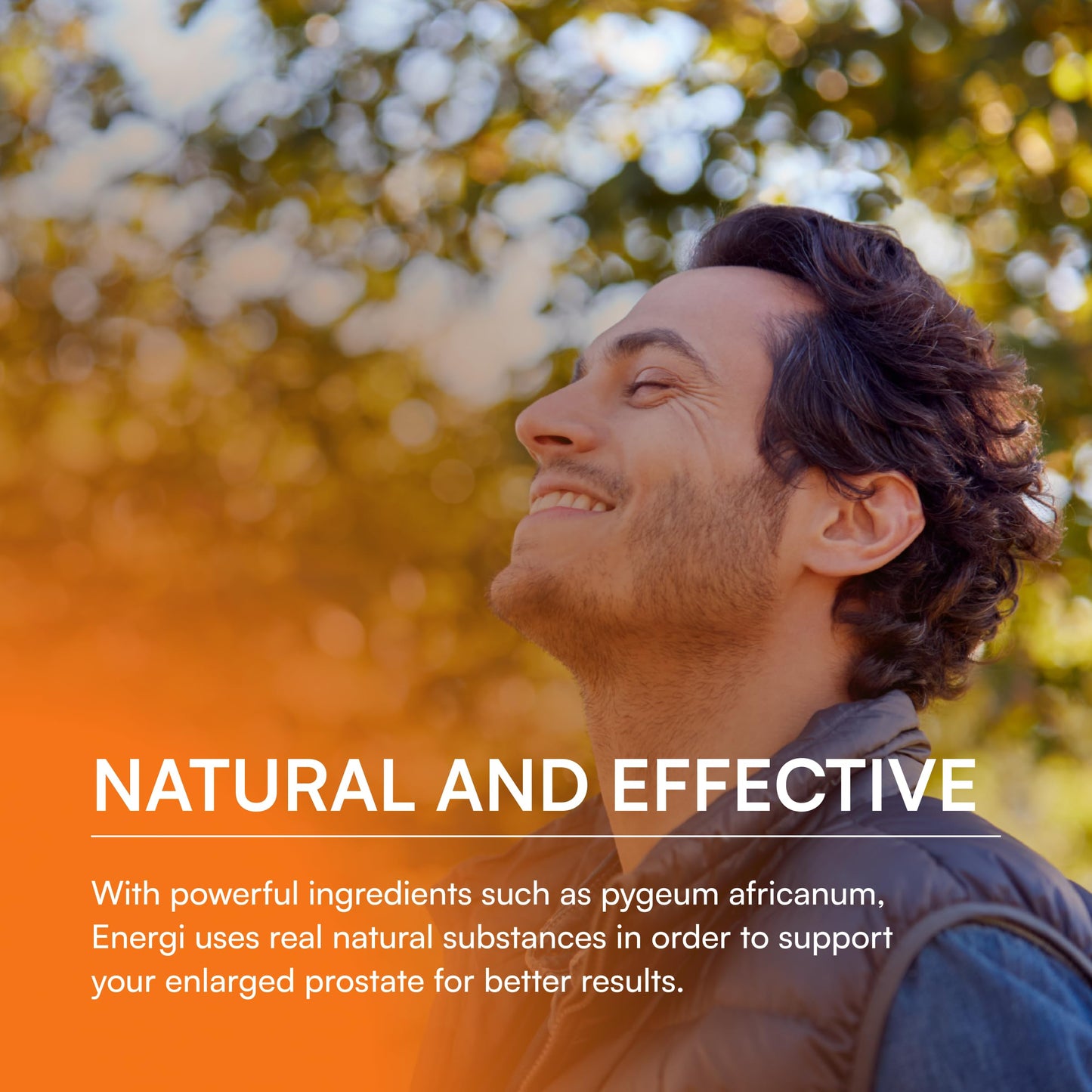 ENERGI NUT Prostate Support Supplement with Saw Palmetto Capsules, 120 Capsules