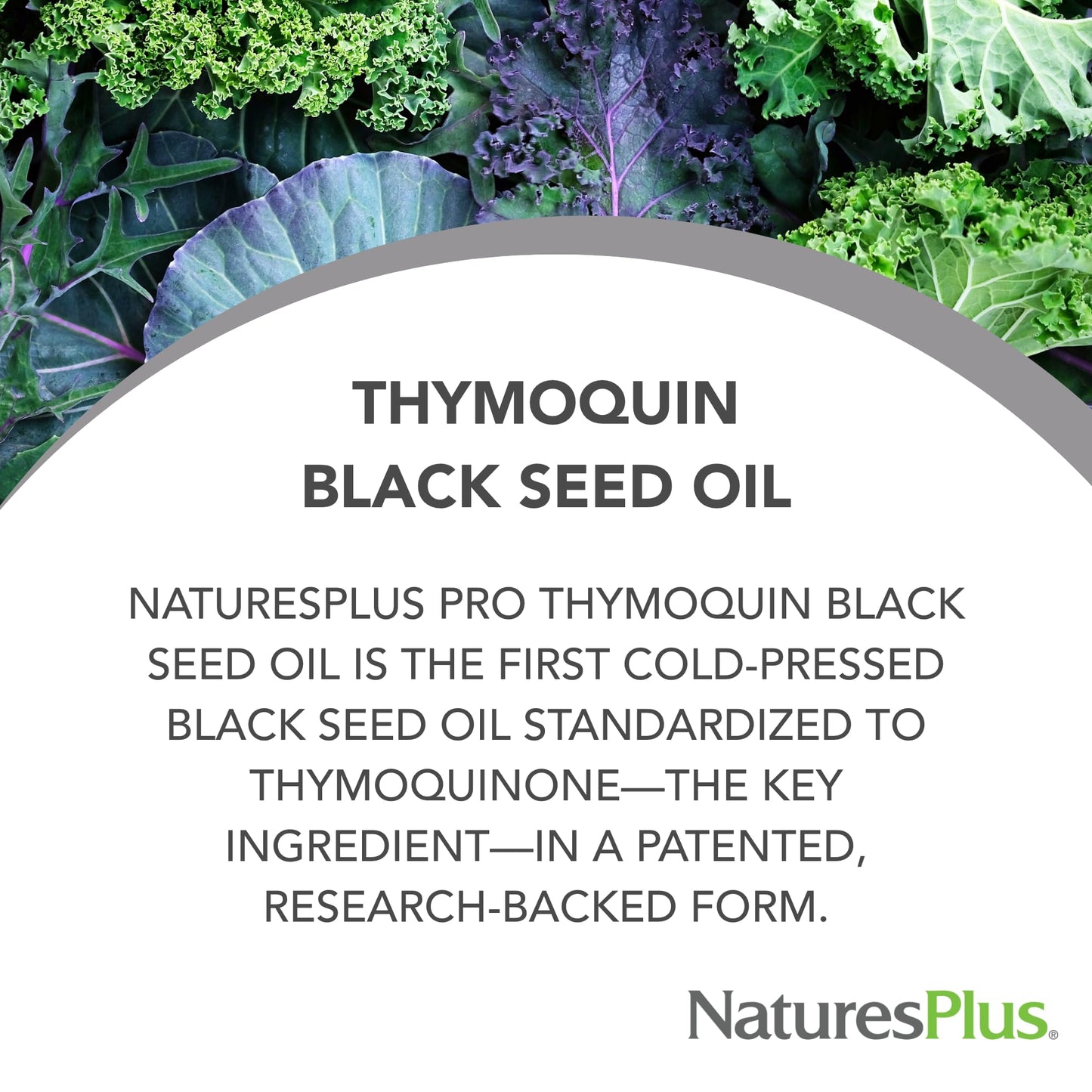 NaturesPlus PRO ThymoQuin Black Seed Oil 500 mg Softgel 1 Count