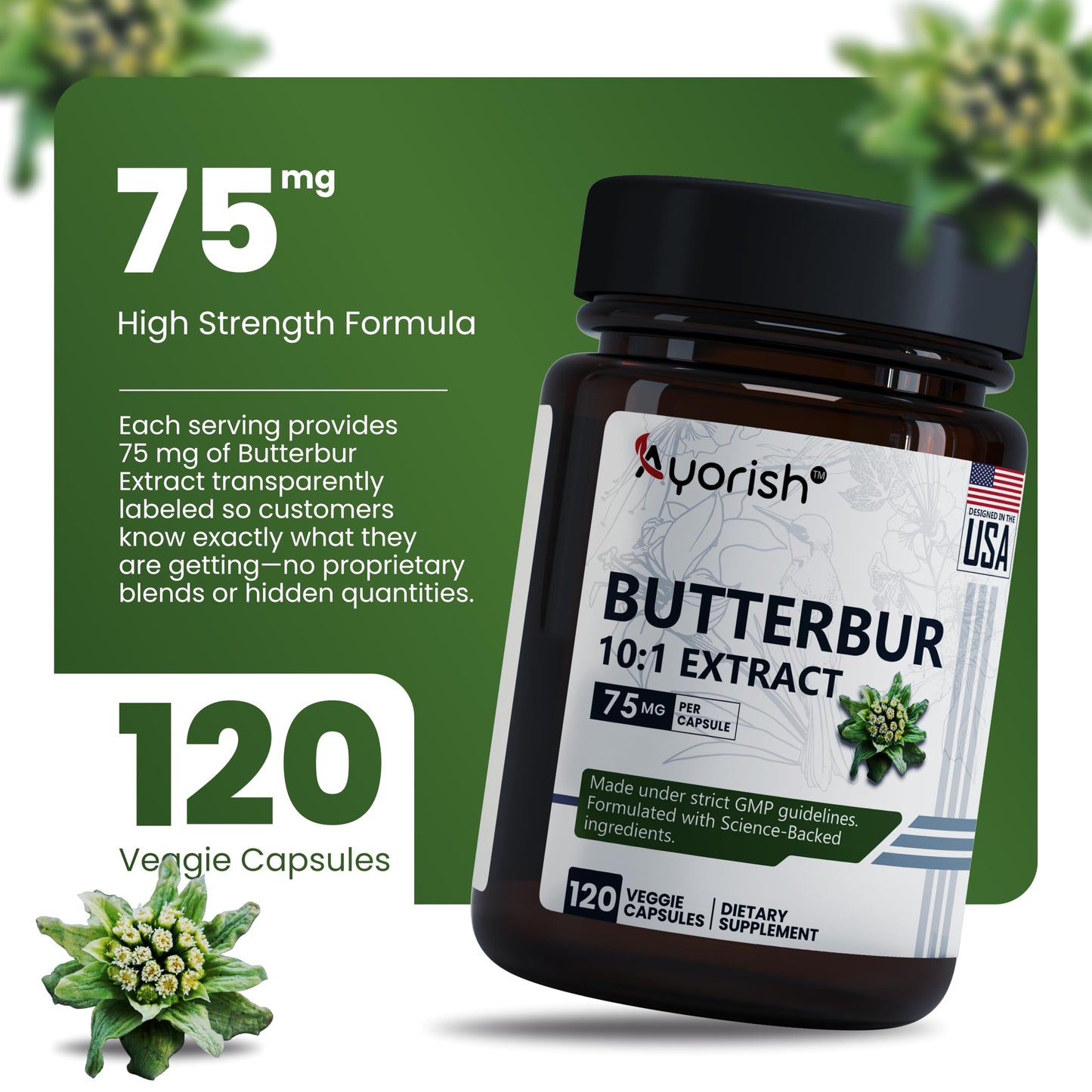 Ayorish Butterbur Capsules 75mg 120 Count 10:1 Extract