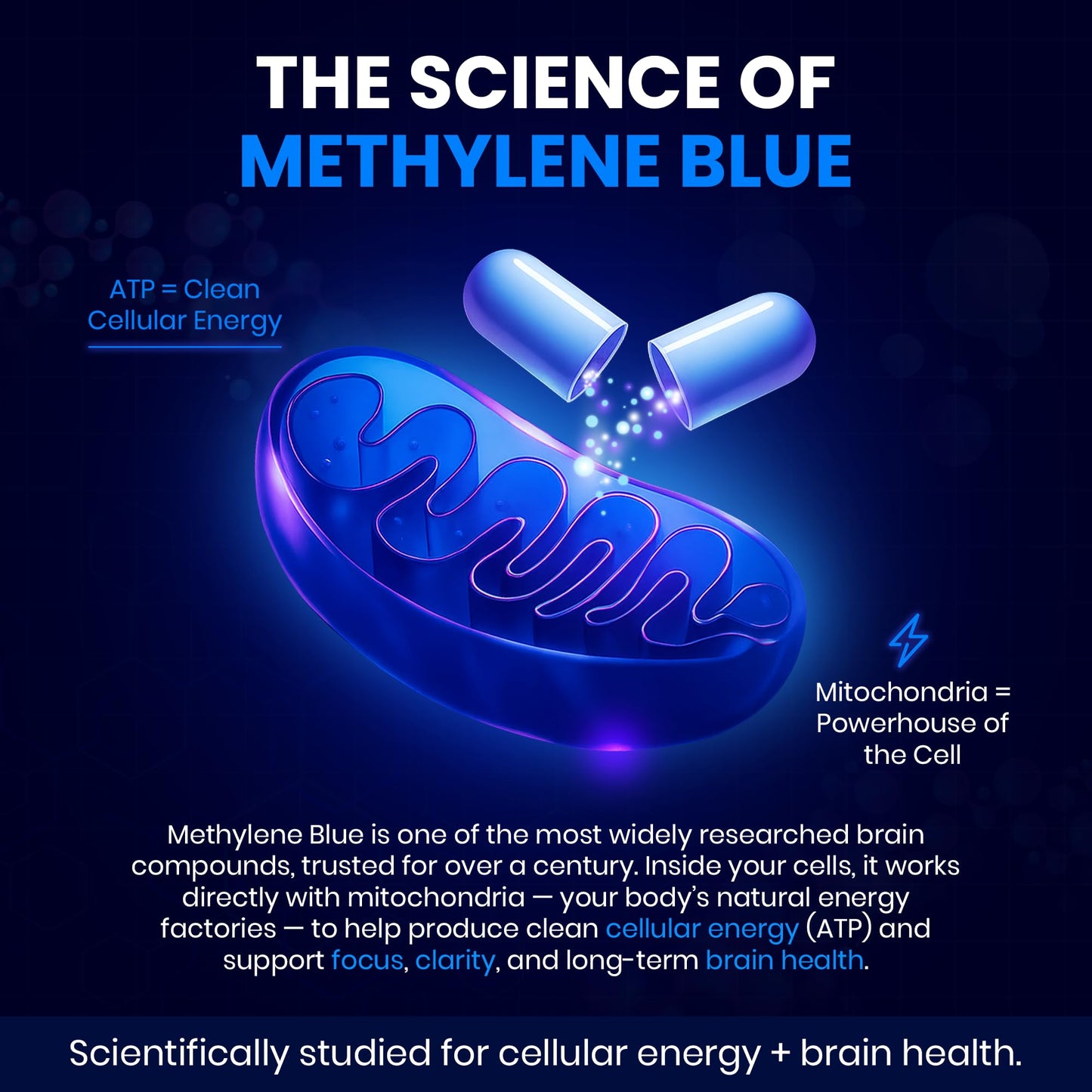 Nootose Labs Methylene Blue Capsules – Pharmaceutical Grade with 200mg L-Theanine – Mental Clarity & Focus, 60 Capsules