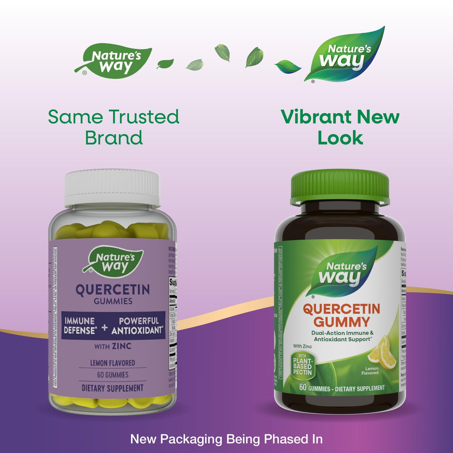 Nature's Way Quercetin Gummies with Zinc, 60 Count
