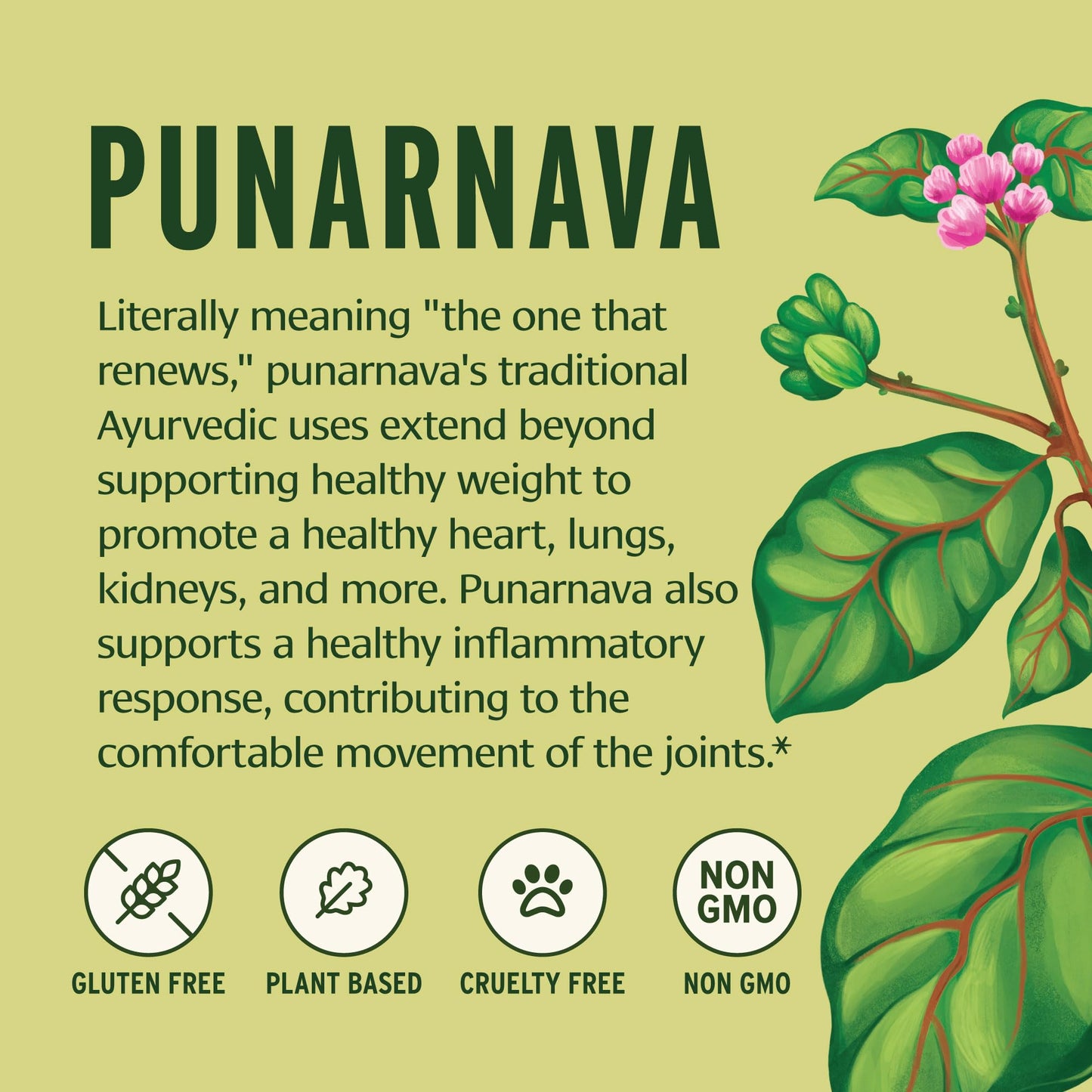 Banyan Botanicals Punarnava Powder 7.95 oz