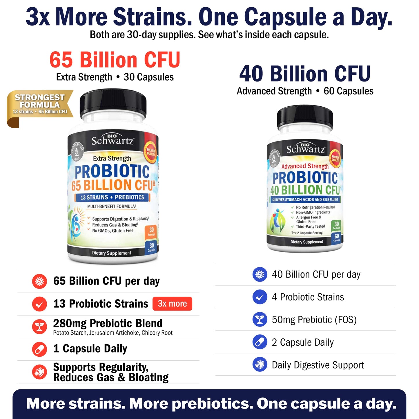 BioSchwartz Daily Probiotic Nutritional Supplement Capsule 60 Count