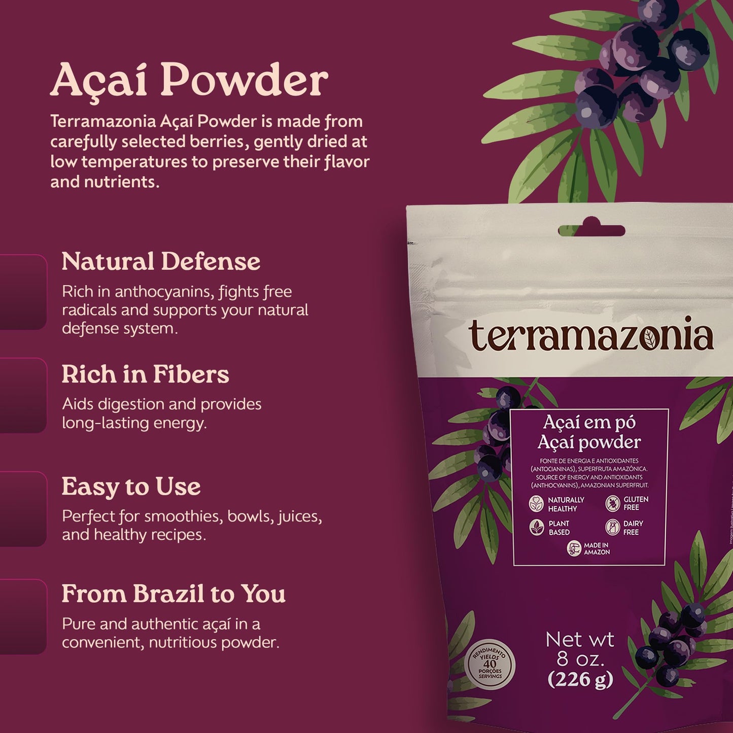 Terramazonia Açaí Powder Superfood Powder, 8 oz