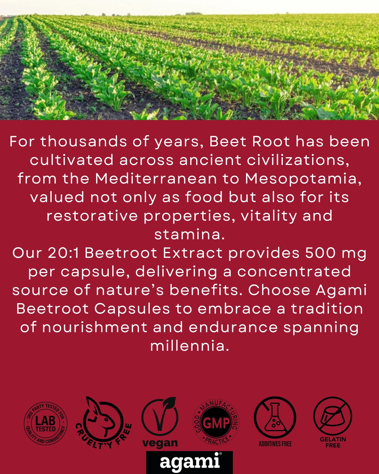 Agami Beet Root Capsules 120 Capsules