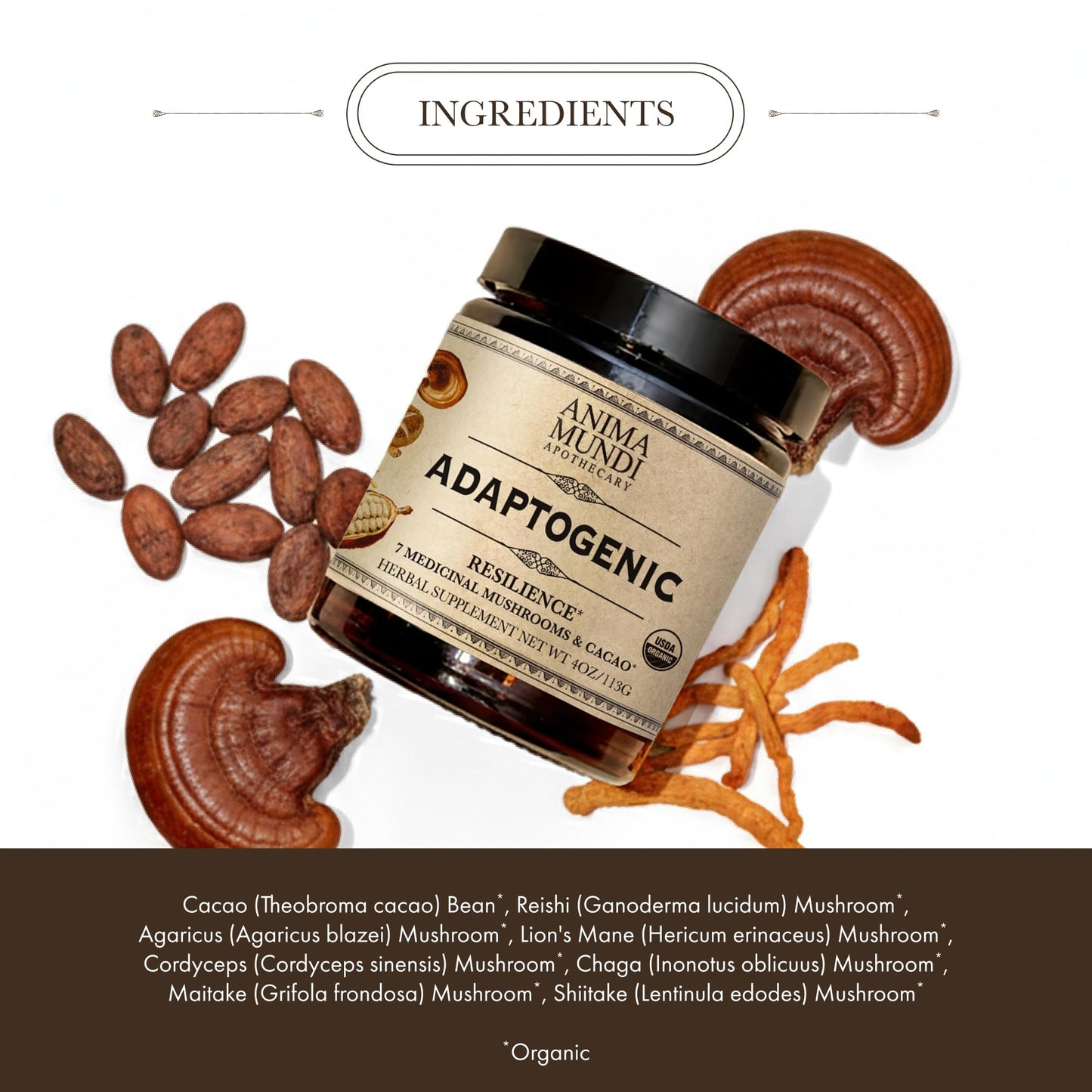Anima Mundi Apothecary Organic Mushroom Supplement Powder - Adaptogenic Mushrooms + Cacao - Uplifting Blend with Organic Lion's Mane, Shiitake, Chaga & More - 4 oz