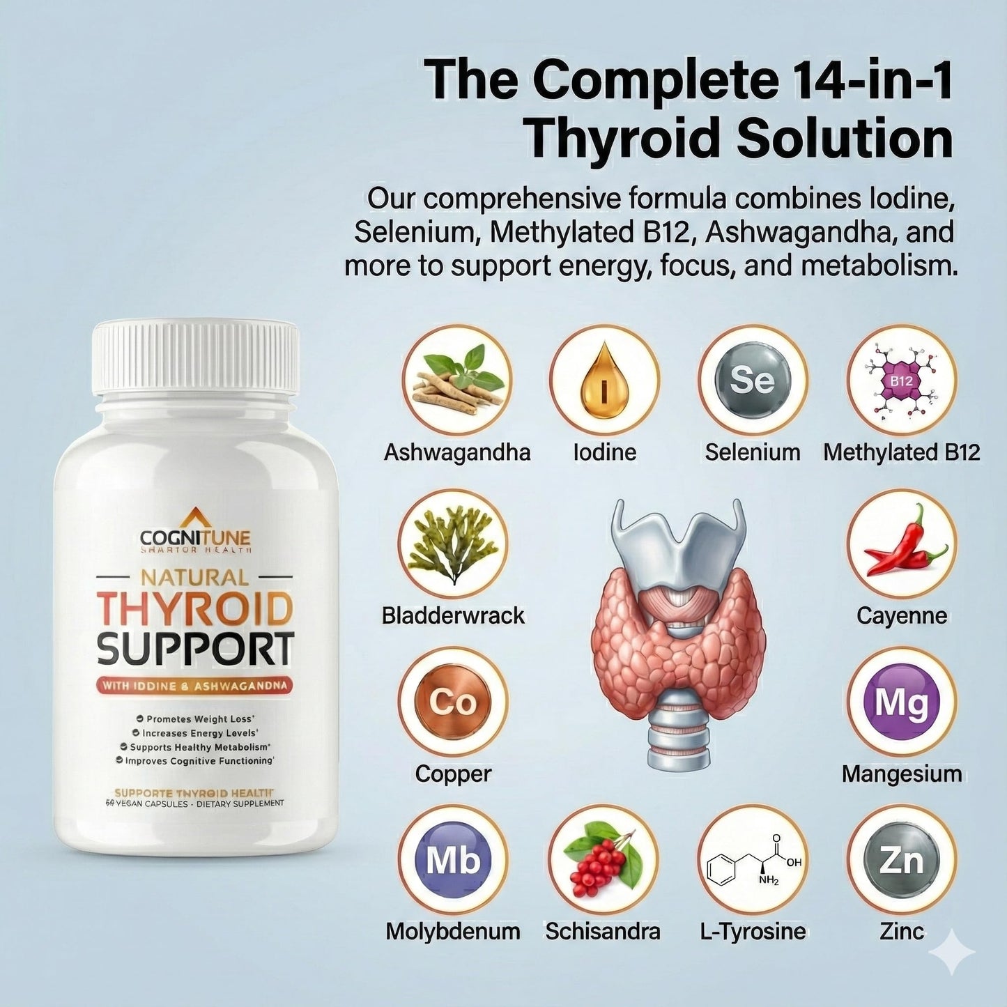 CogniTune Thyroid Support Supplement for Women and Men - Complete 14 Ingredient Formula with Iodine Selenium and B12 - Supports Natural Energy Metabolism and Mental Focus Capsule, 60 Count