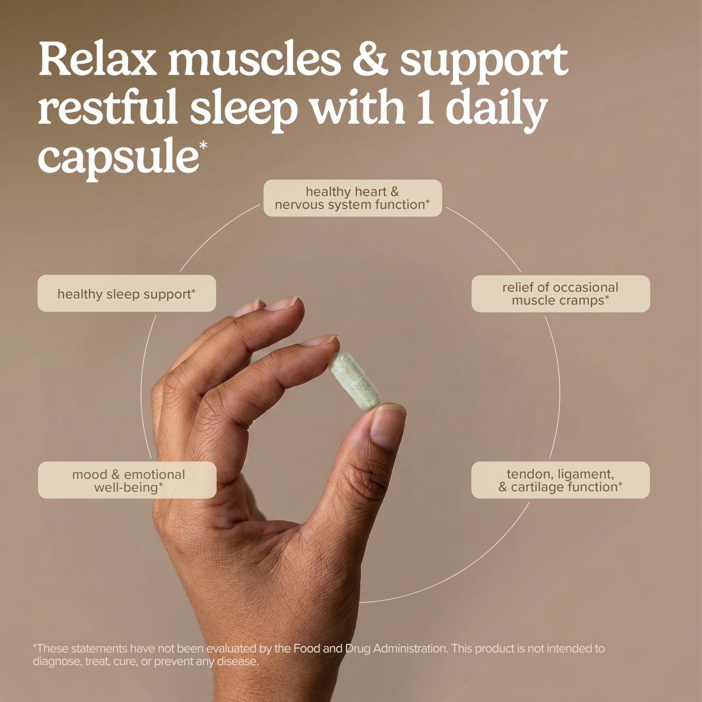 Terry Naturally P-5-P/MAG - Heart, Nerve & Muscle Health Support Capsule, 60 Count
