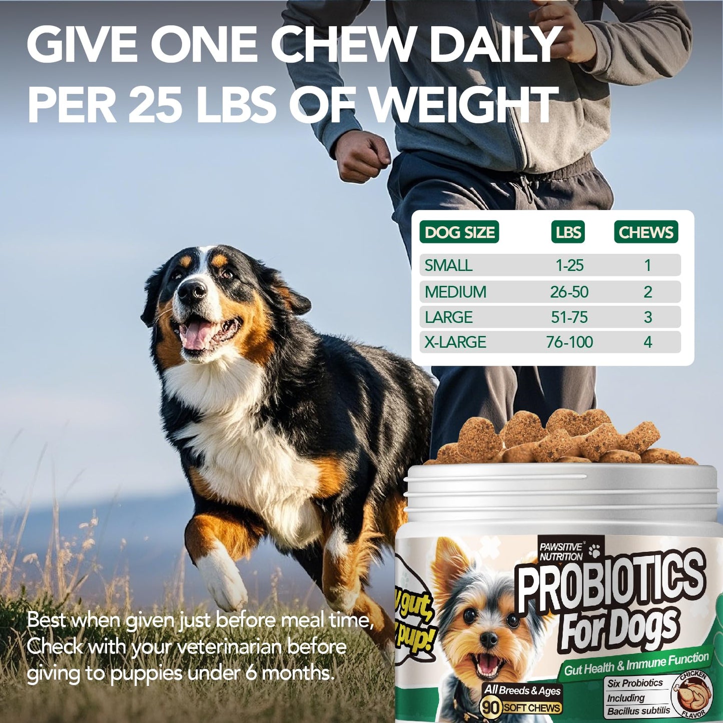 MEGNETA Probiotic Supplement for All Dogs Chewable 180 Chews
