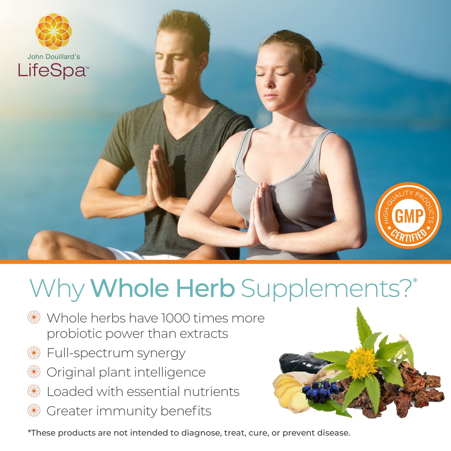 LifeSpa Whole Herbs Liver Repair Capsules, 90 Capsules