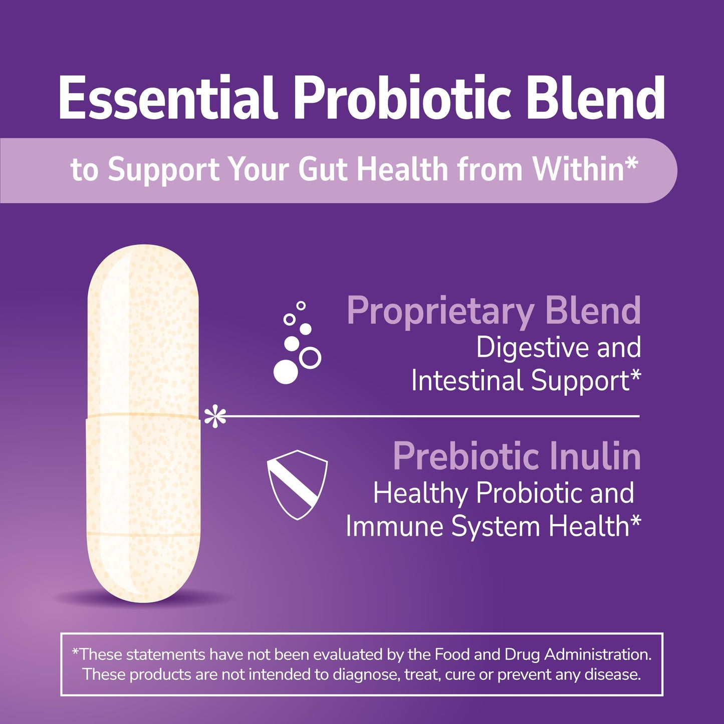 21st Century Advanced Probiotic Capsules 60 Count
