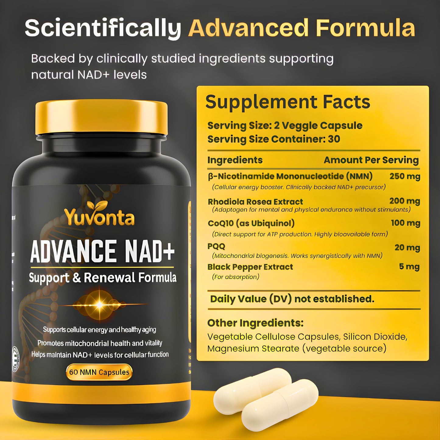 Yuvonta NMN 250mg NAD+ Supplement – Cellular Energy & Mitochondrial Support with CoQ10, PQQ & Rhodiola – Anti-Fatigue, Focus & Longevity Support, 60 Capsules
