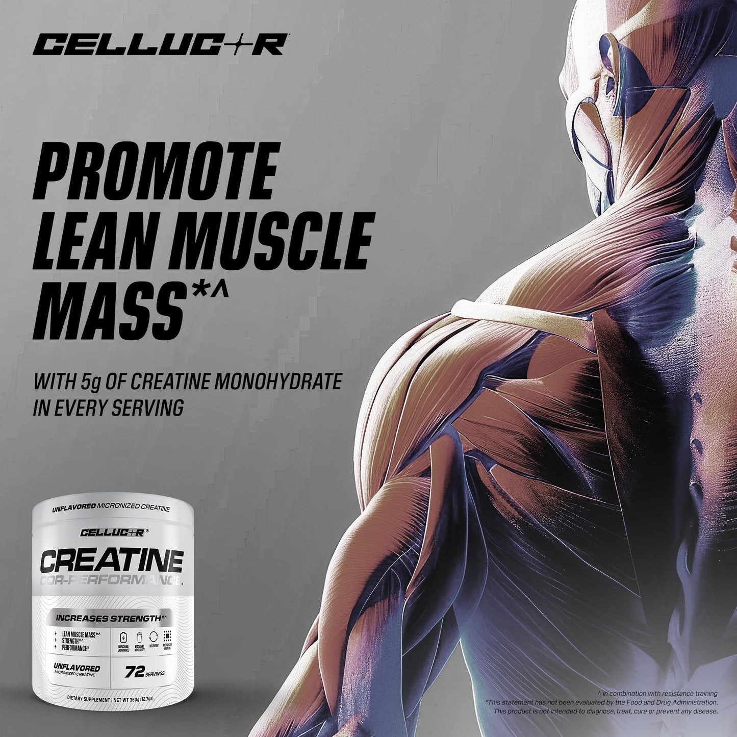 Cellucor Cor-Performance Creatine Monohydrate Powder, 12.69 Ounce