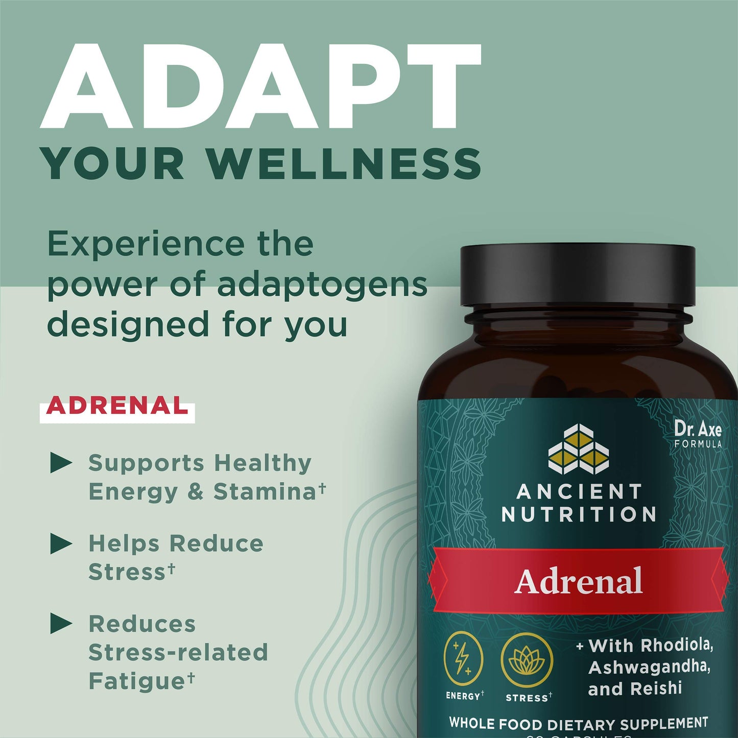 Ancient Nutrition Adrenal Capsules, 60 Count