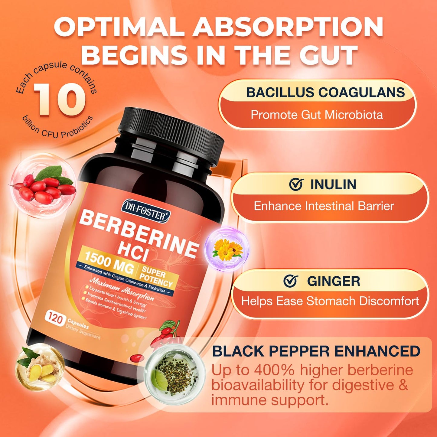 DRFOSTER Berberine HCl Supplement 1500mg with Ceylon Cinnamon Capsules, 120 Count