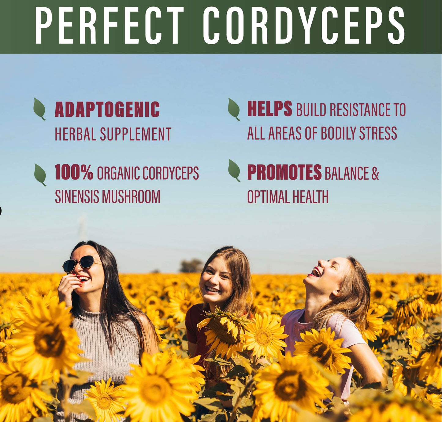 Perfect Supplements Perfect Cordyceps Capsules 90