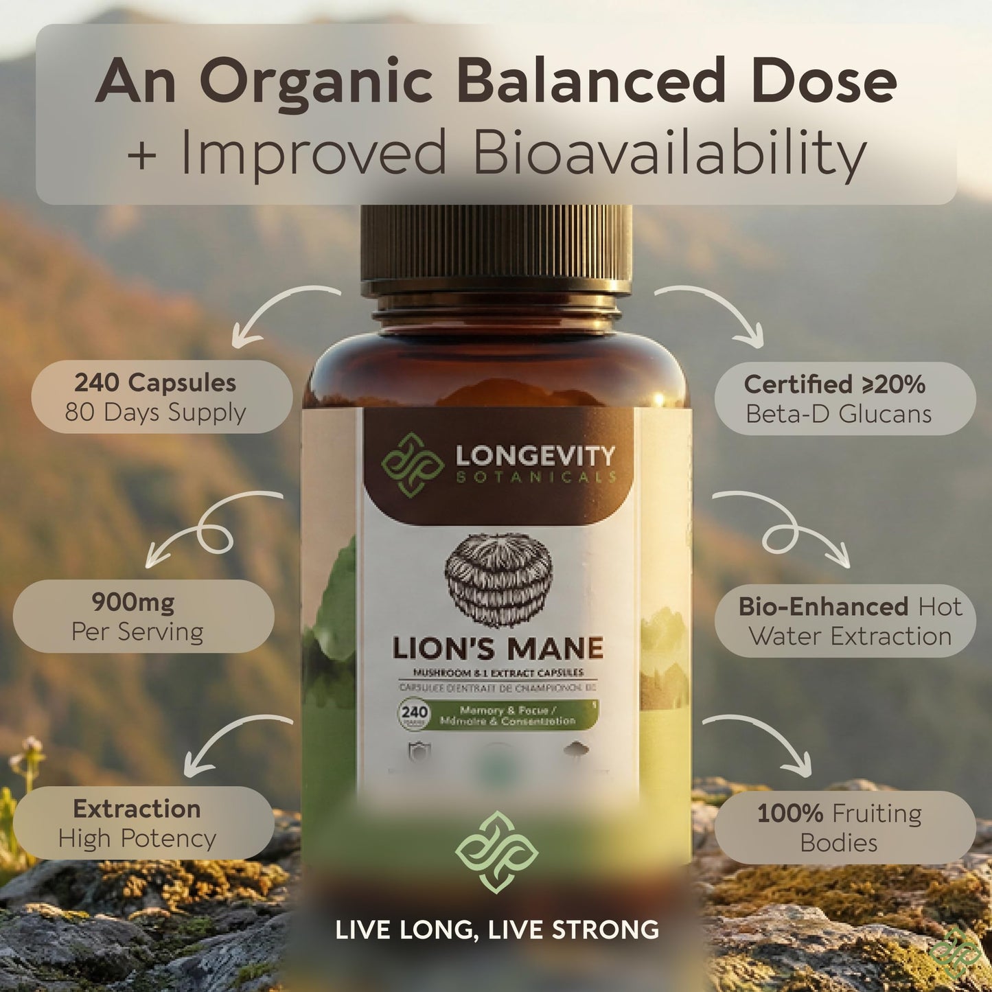 Longevity Botanicals Organic Lion's Mane Mushroom Capsules 240 Count