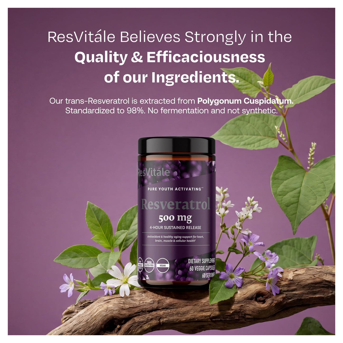 ResVitale Resveratrol 500 mg Capsules, 60 Count