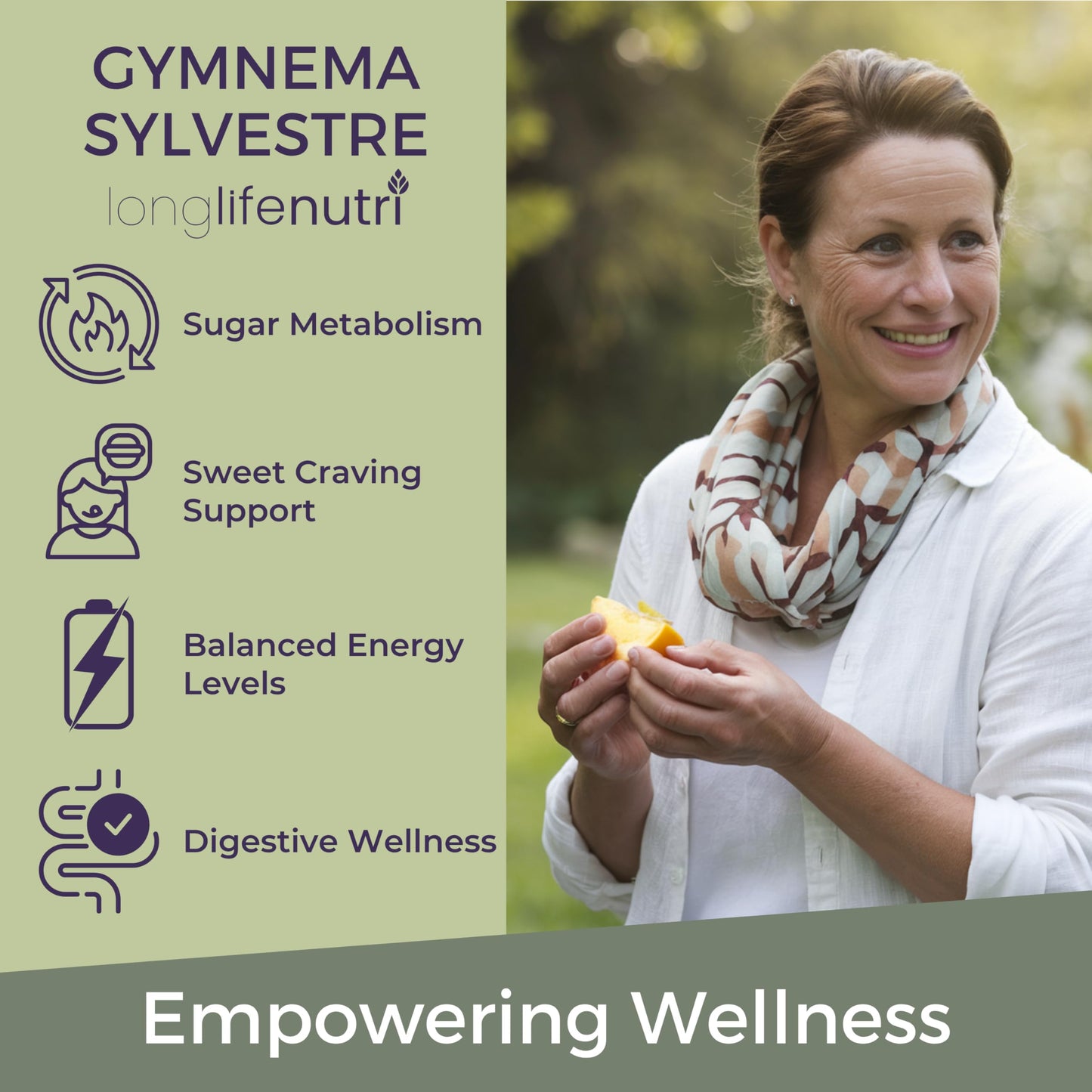 LongLifeNutri Gymnema Sylvestre 1000mg Organic 20:1 Leaf Extract Capsule 240 Count