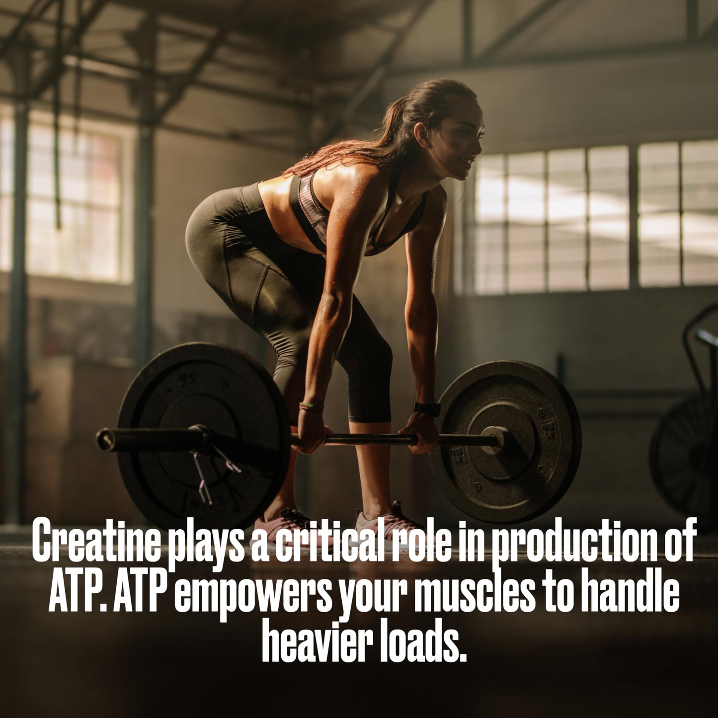 BULLFIT Creatine Monohydrate Powder, 13.2 oz