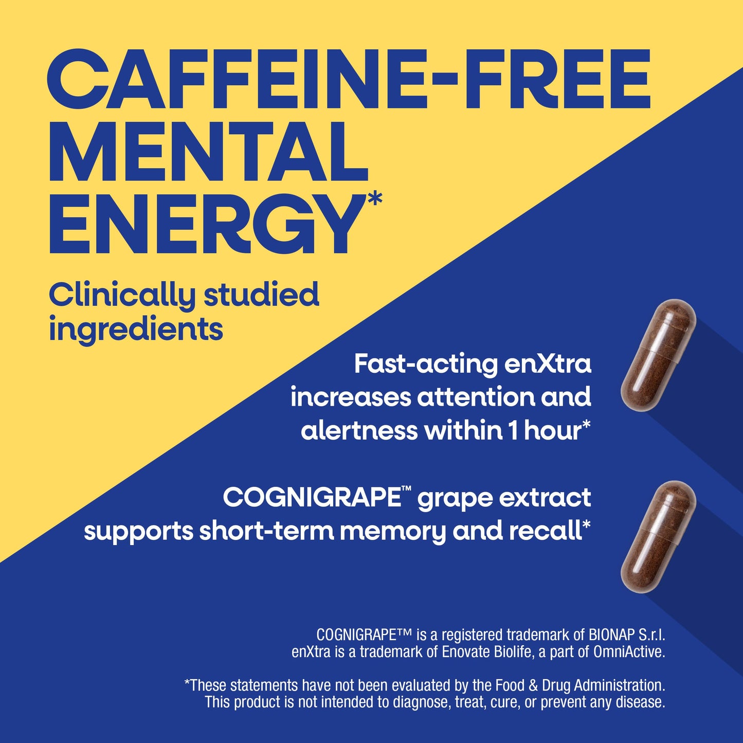 Nature's Way Alive! Cognitive Capsules, 60 Count