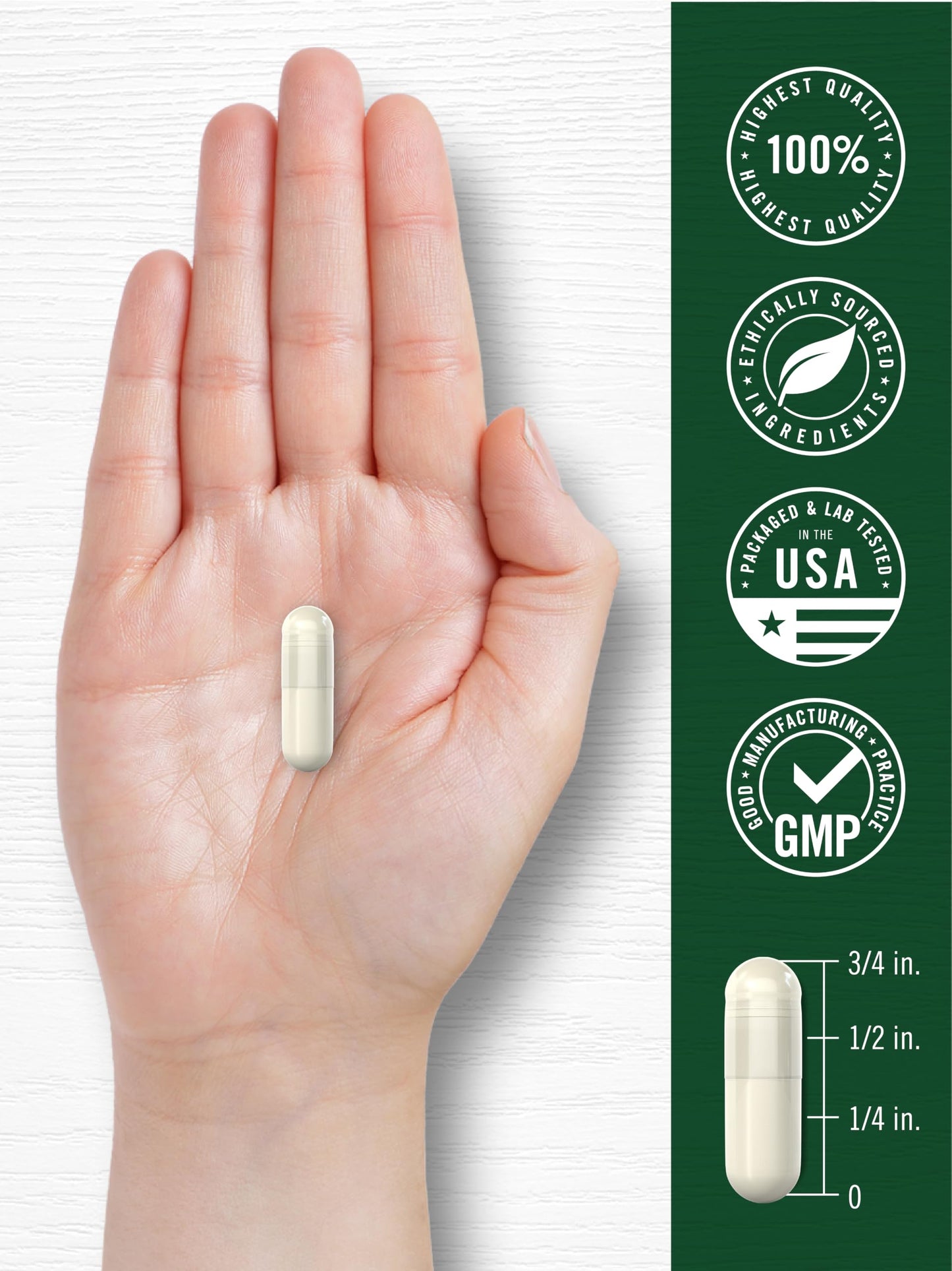 Carlyle Mullein Leaf Extract Capsule 200 Capsules